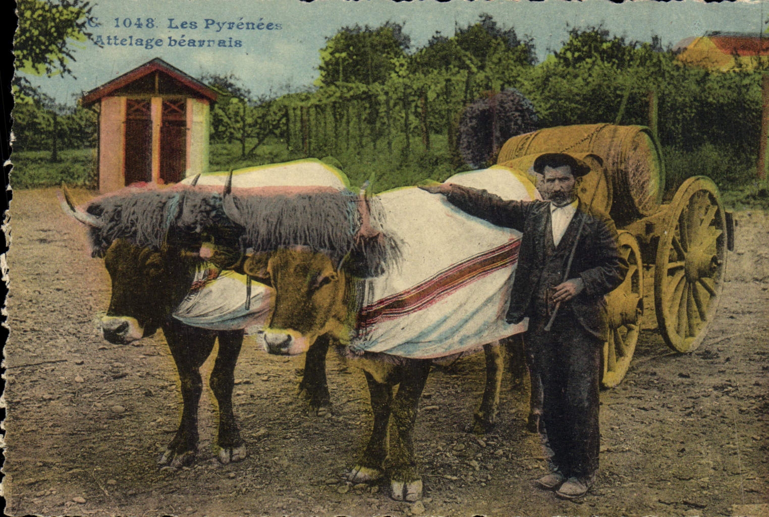 CPA Folklore Pyrenees Attelage Beanais