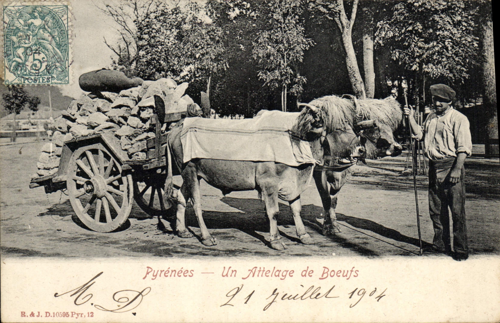 CPA Folklore Pyrenees Un Attelage de boeufs