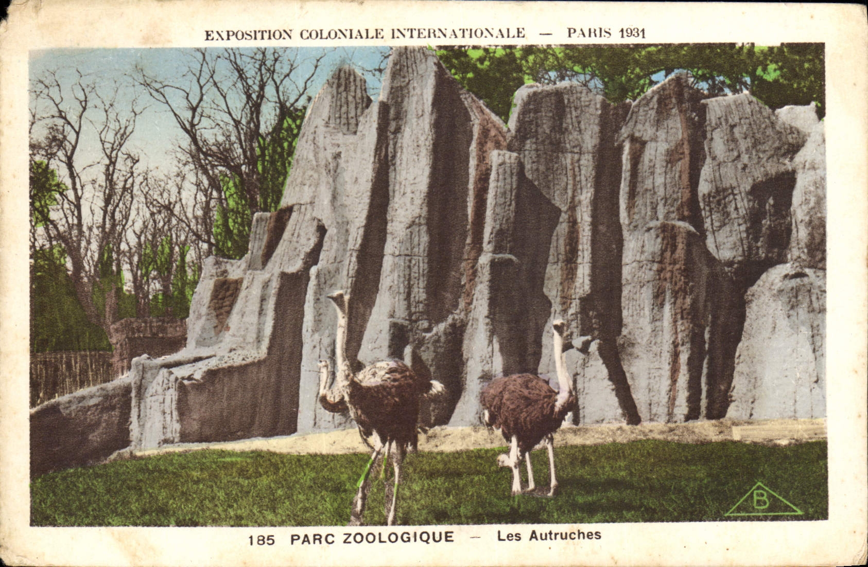 VINTAGE POSTCARD Paris Fair colonial international Paris 1931 Zoological gardens ostriches