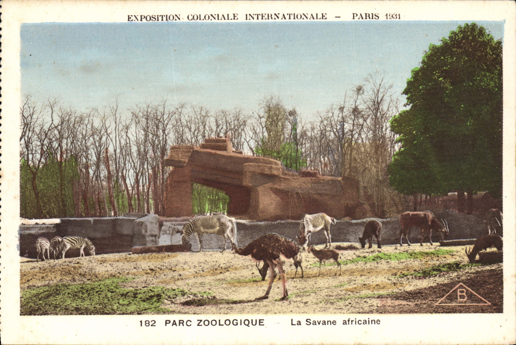 CPA Paris Exposition coloniale internationale Paris 1931 Parc zoologique Les autruches La savane africaine Zebre