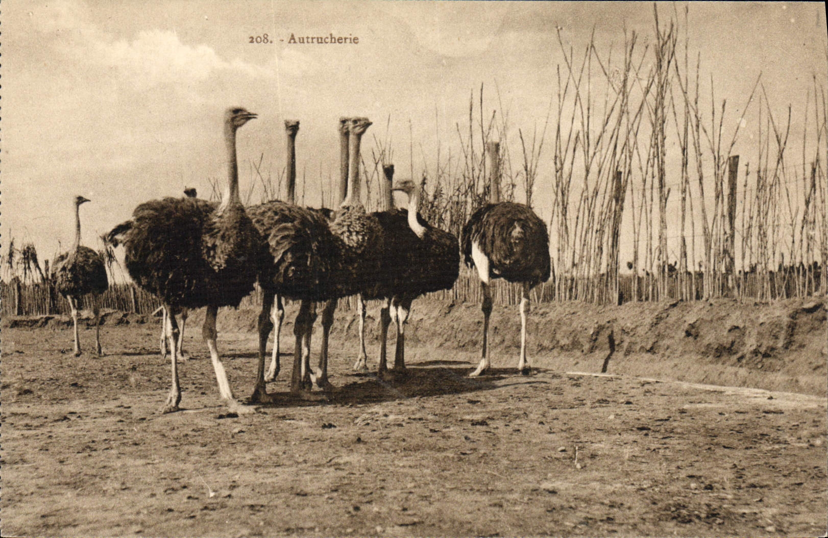 CPA Autrucherie