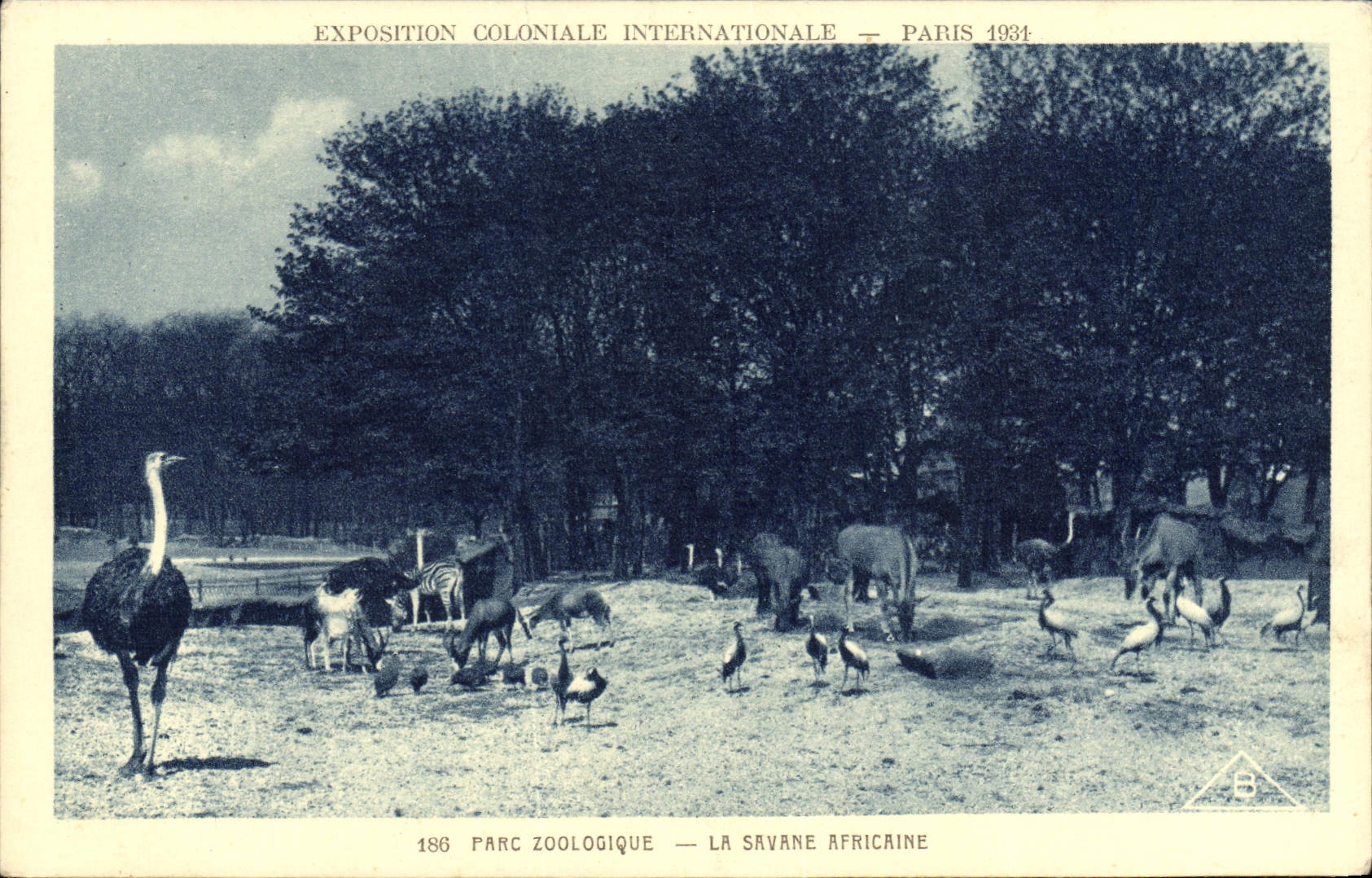 CPA Paris Exposition coloniale internationale Paris 1931 Parc zoologique Les autruches La savane africaine Zebre