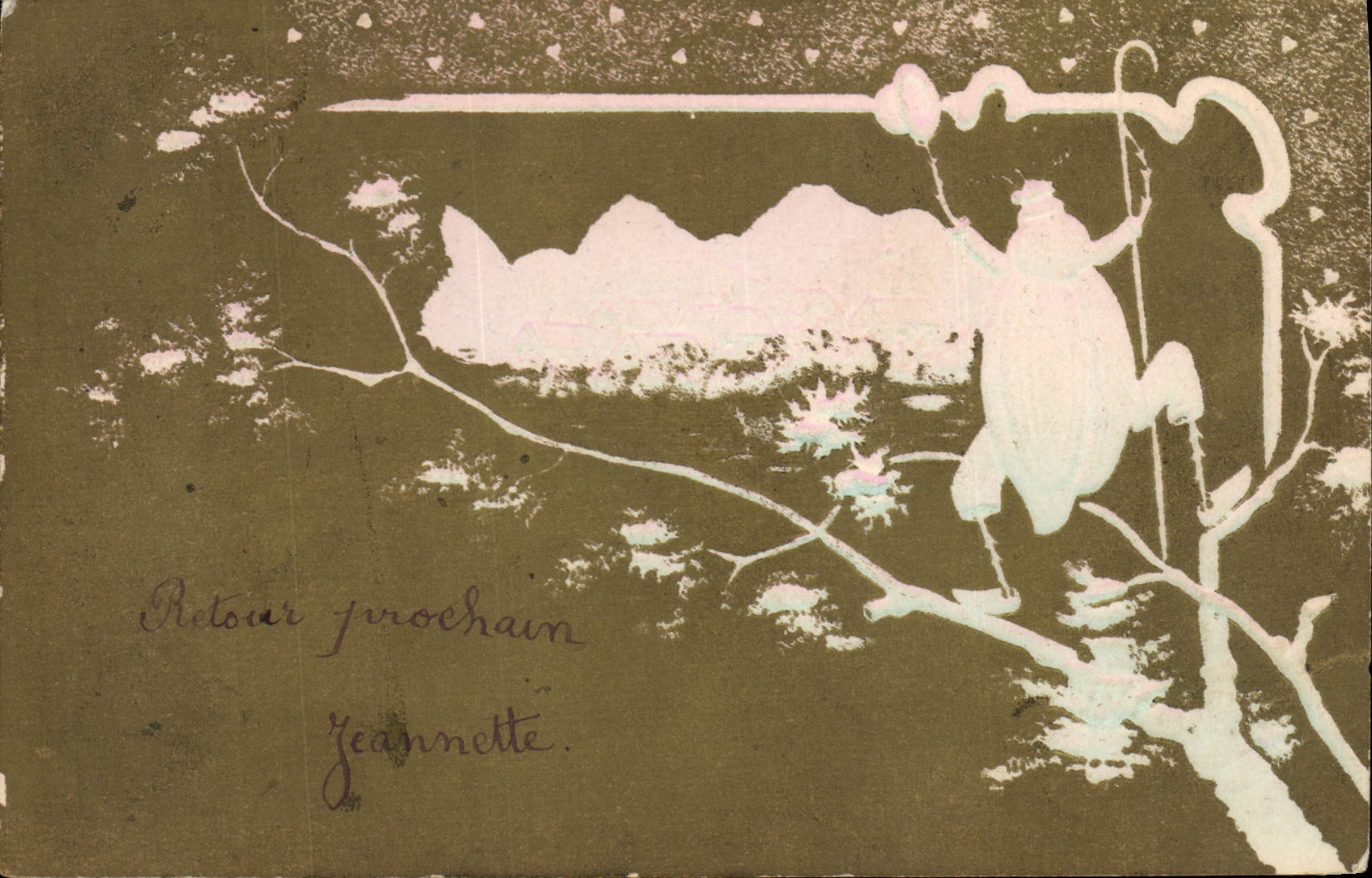 VINTAGE POSTCARD Insect