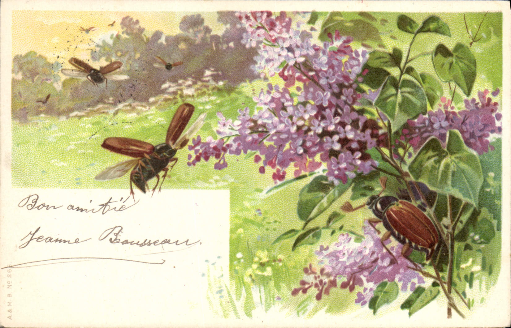 CPA Insectes