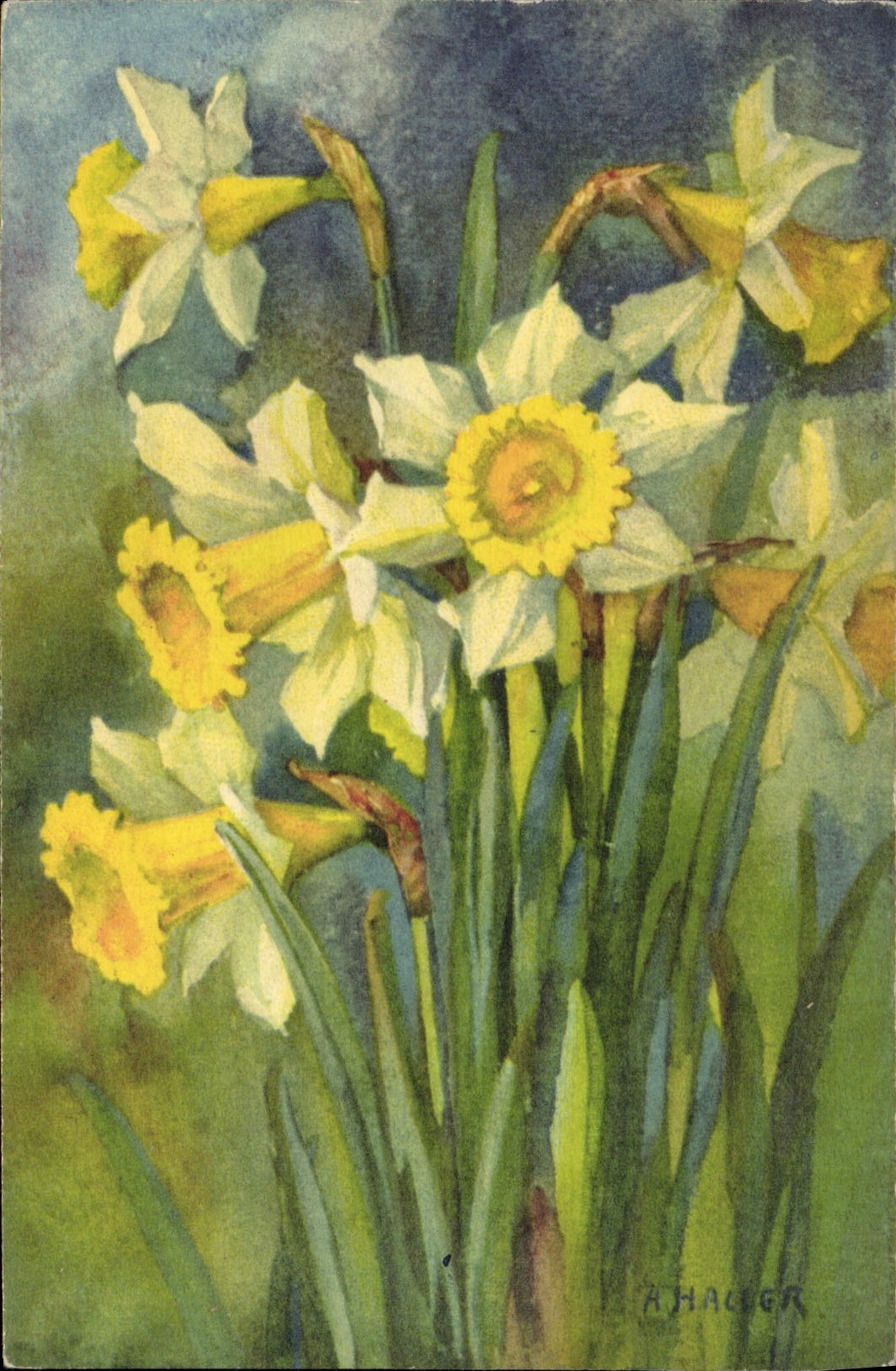 VINTAGE POSTCARD Fantasy Illustrator Hager Flowers