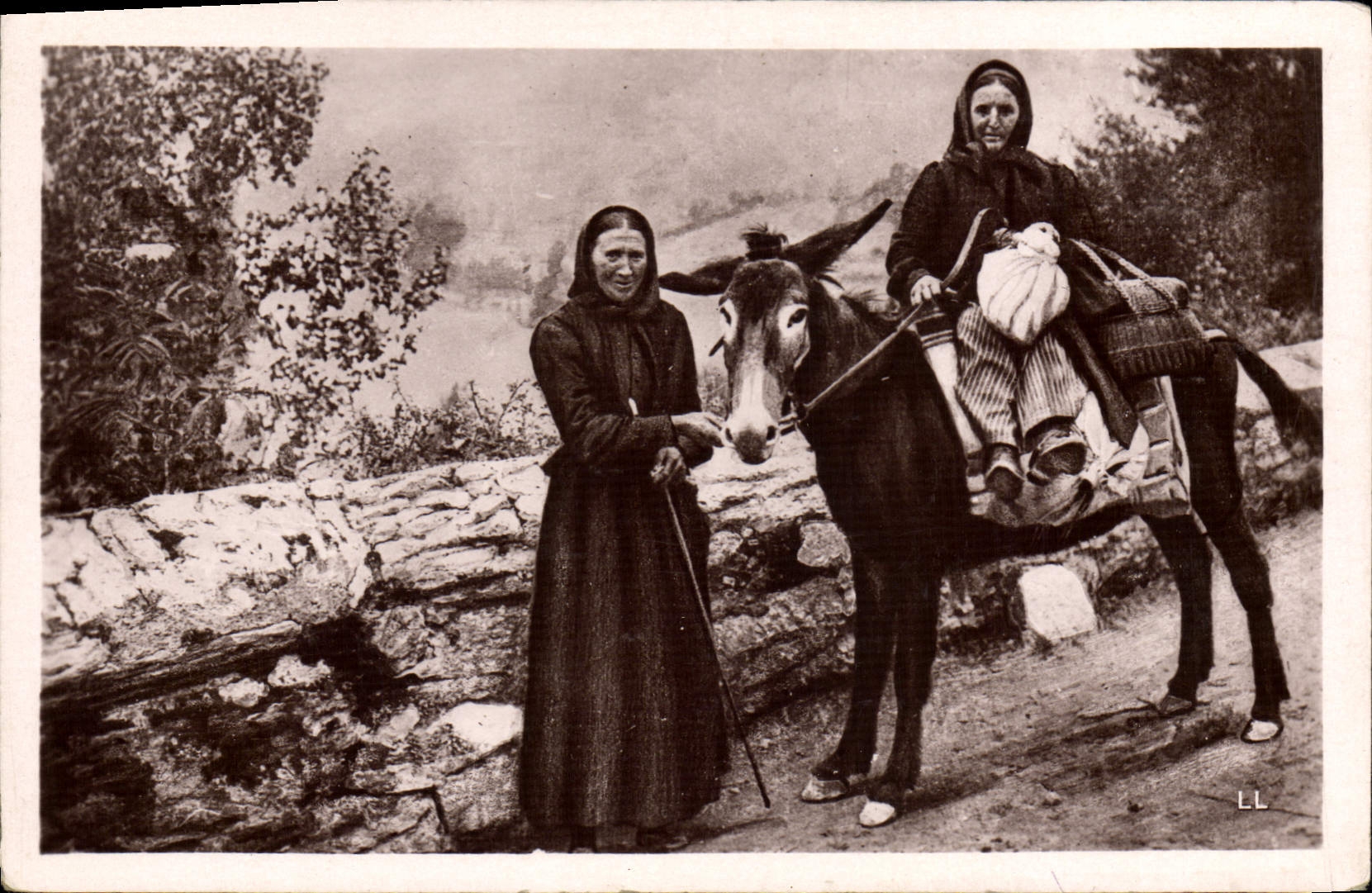 CPA Folklore Pyrenees Femmes du pays allant au marche Ane Mule