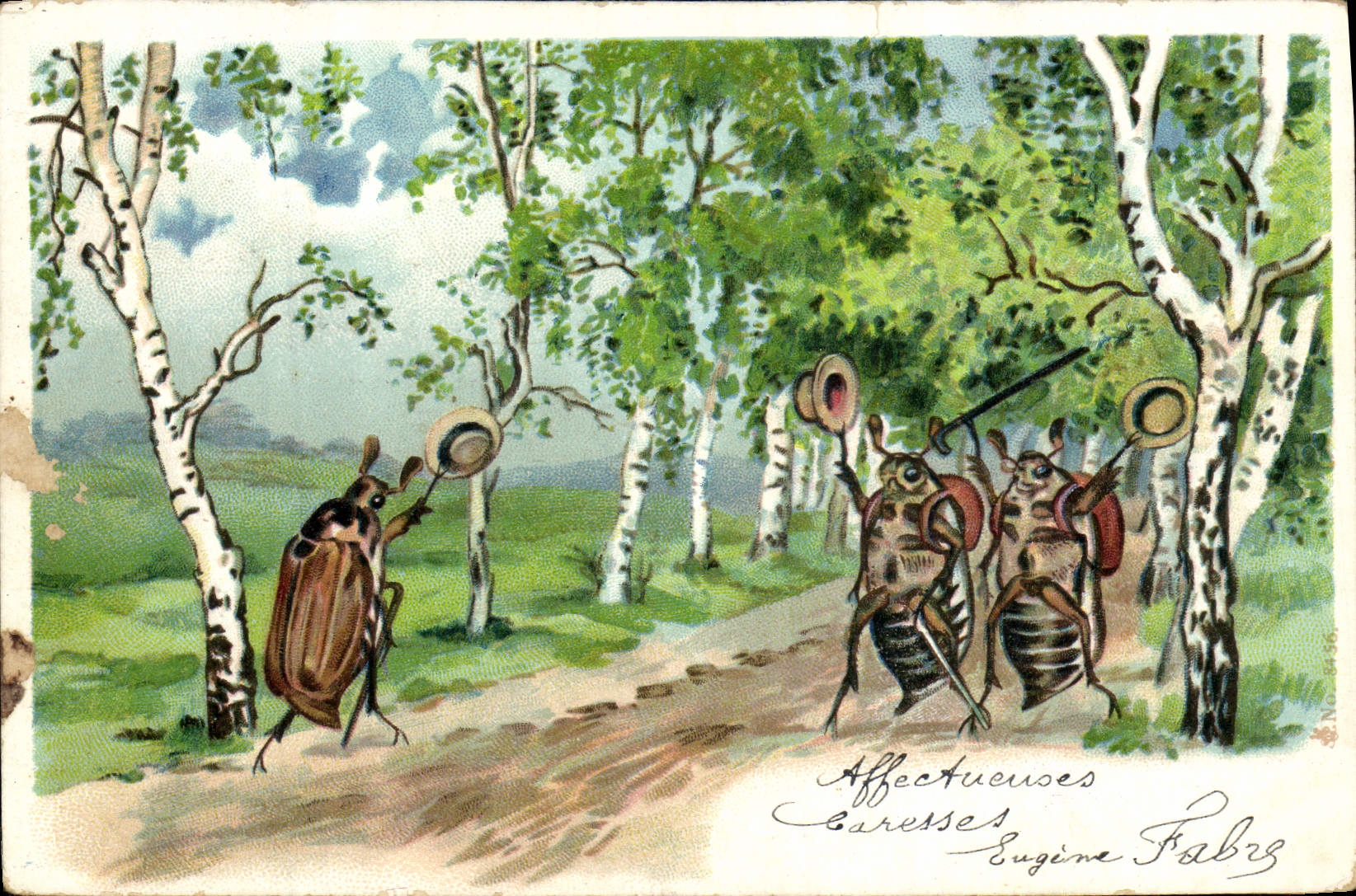 CPA Insectes