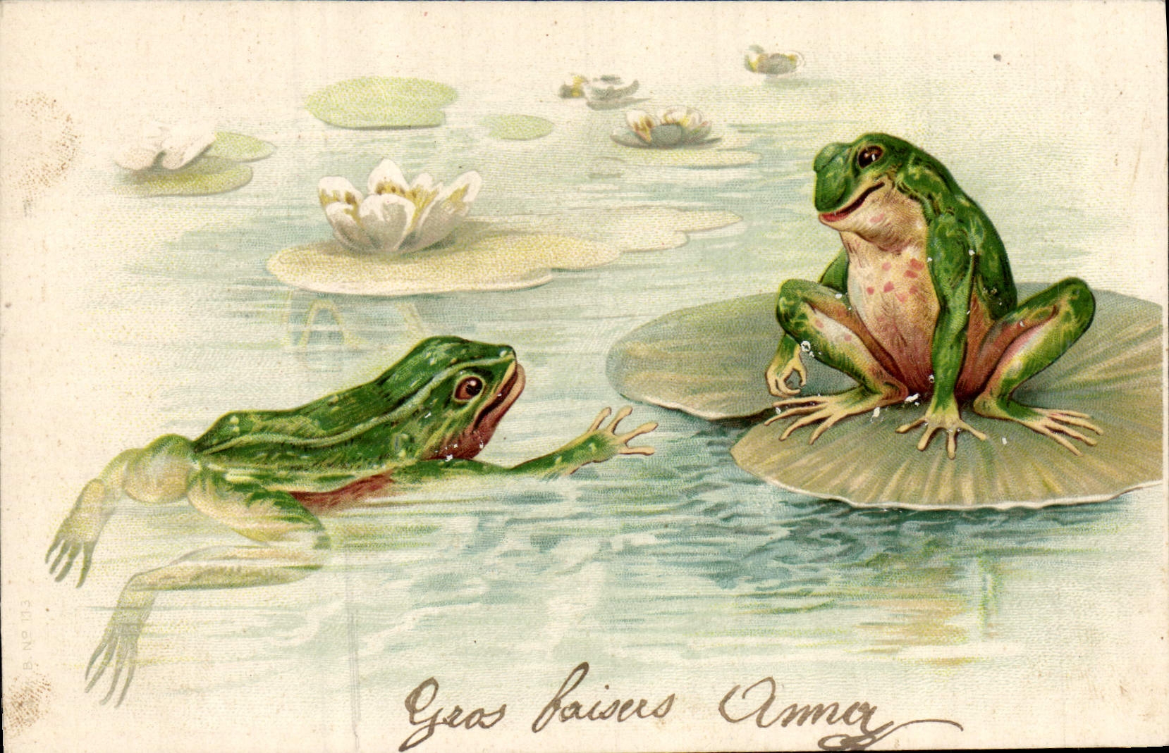 VINTAGE POSTCARD Frog Toad