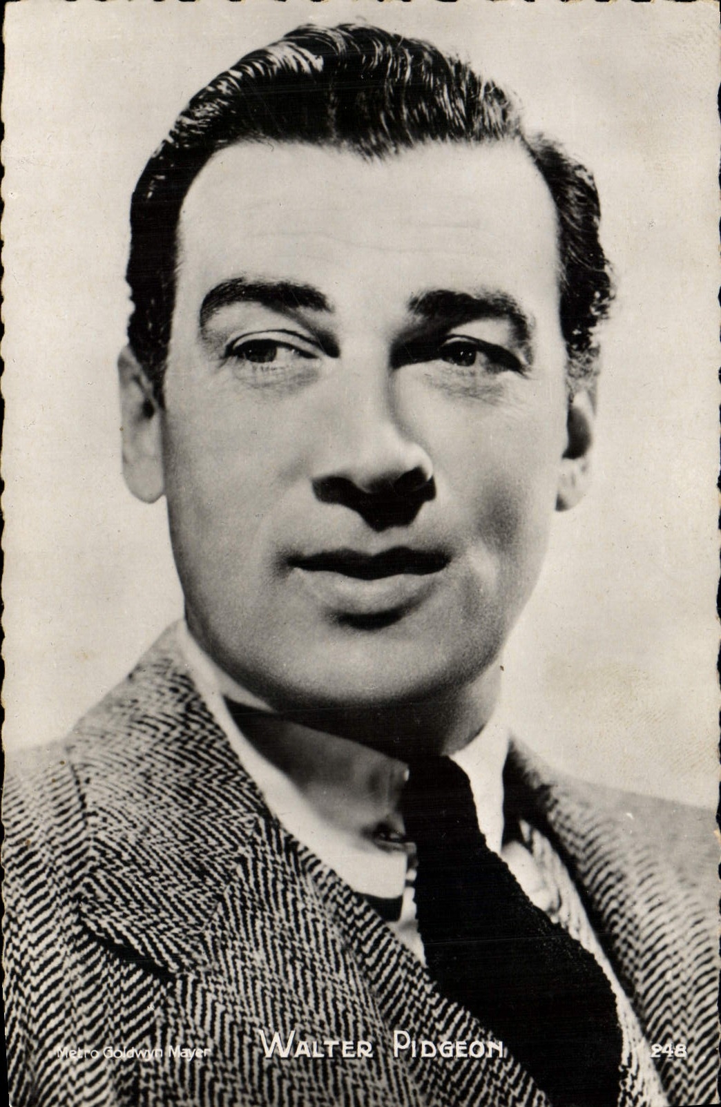 MODERN CARD Cinema Walter Pidgeon