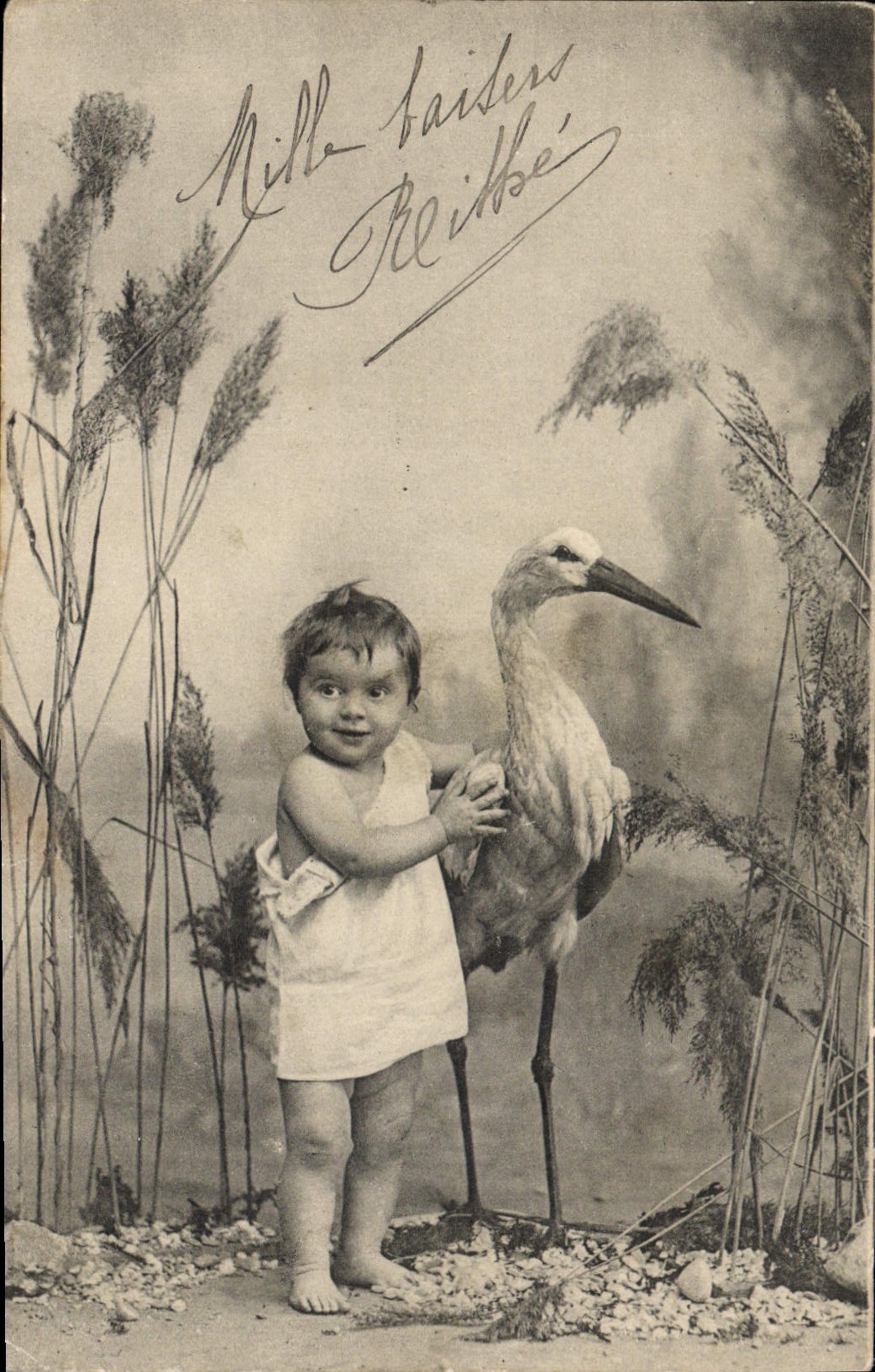 VINTAGE POSTCARD Fantasy Child Stork