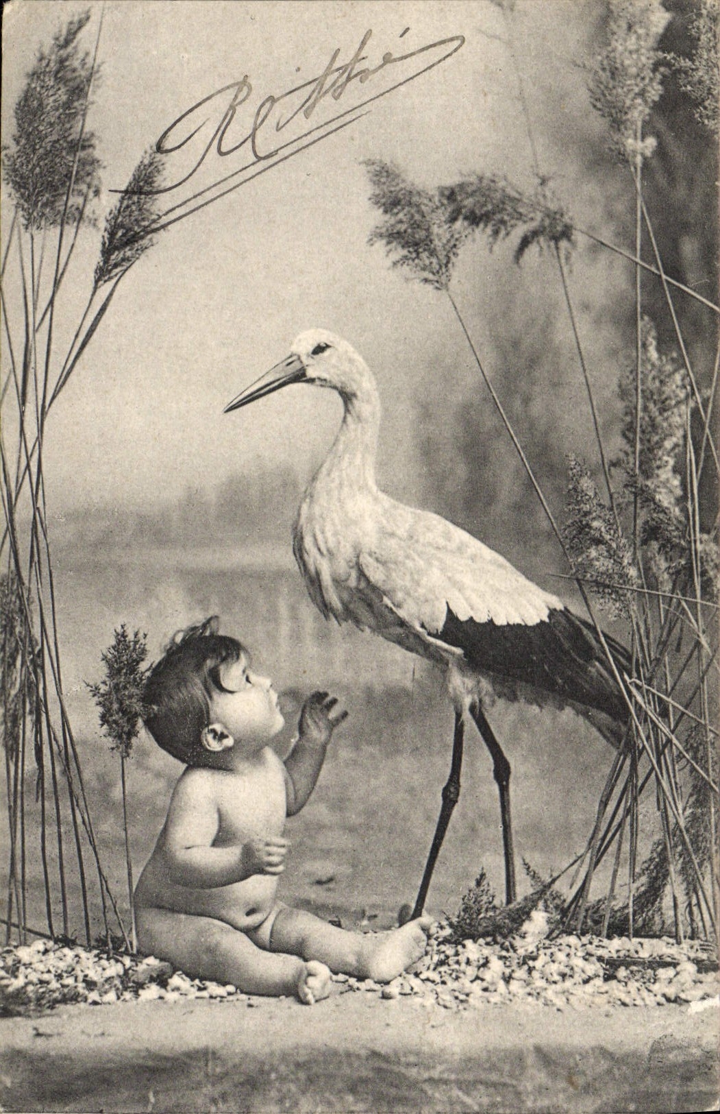 CPA Fantaisie Enfant Cigogne