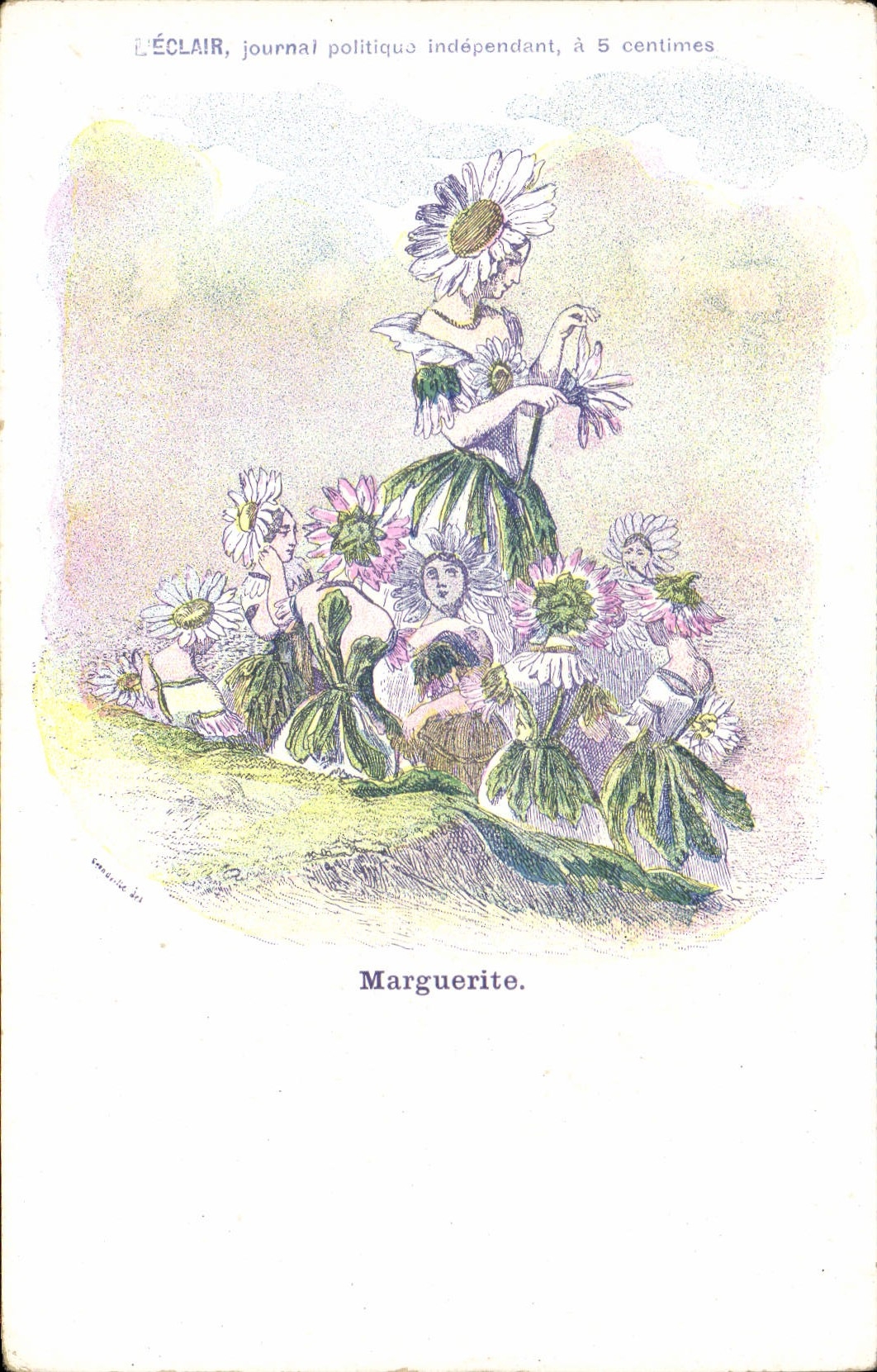 VINTAGE POSTCARD Fantasy Marguerite Flowers