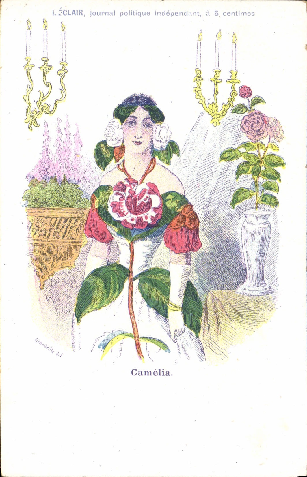 VINTAGE POSTCARD Fantasy the CAMELIA Flowers