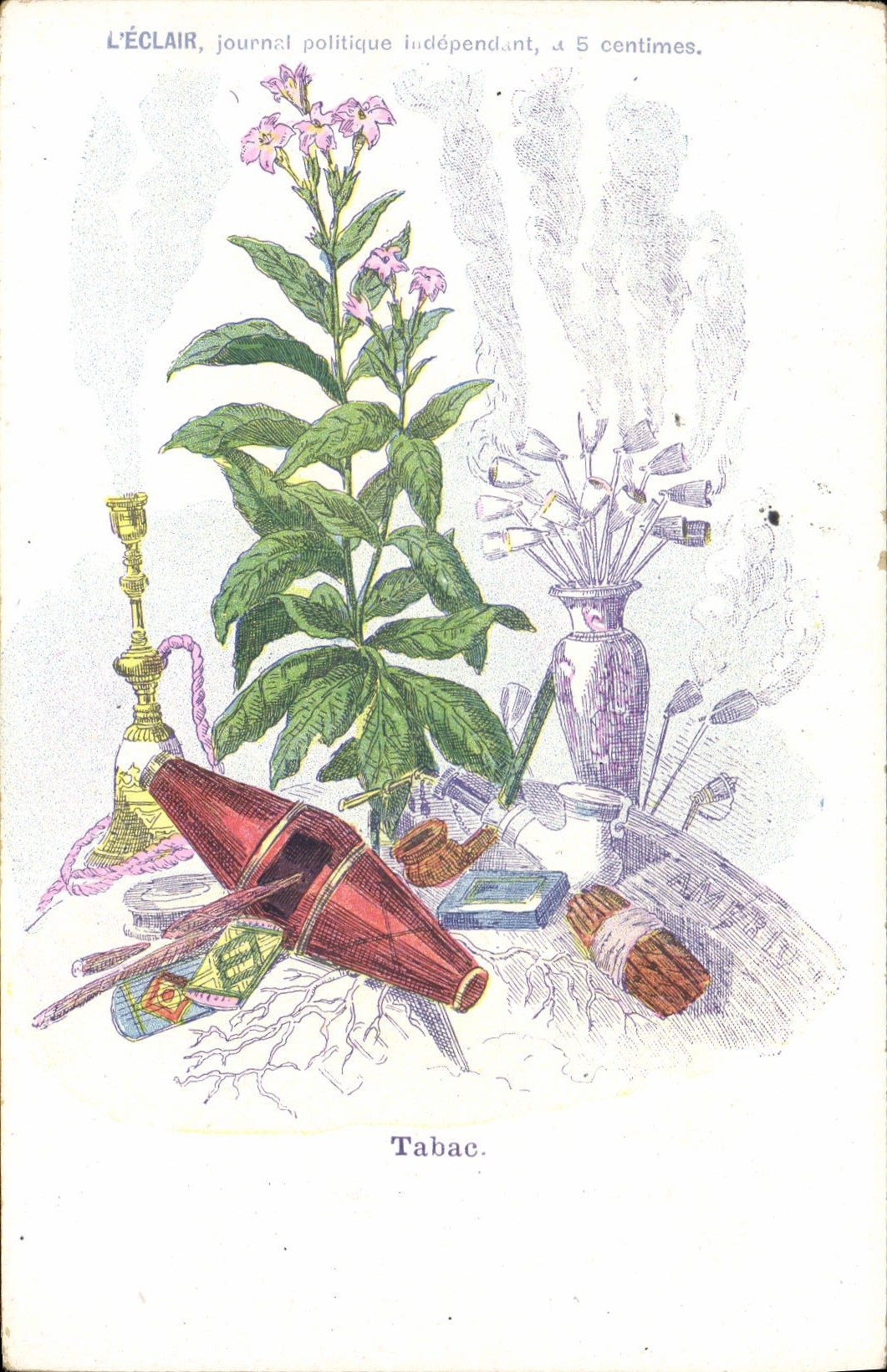 VINTAGE POSTCARD Fantasy Flowers Tobacco