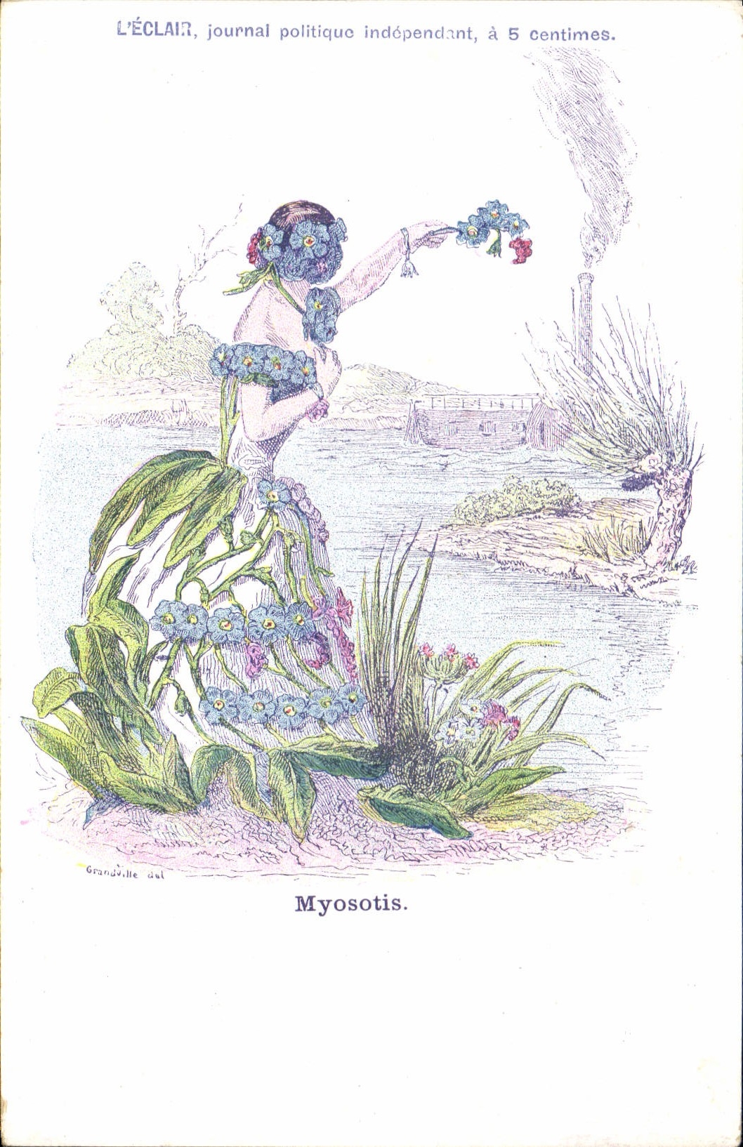 VINTAGE POSTCARD Fantasy Forget-me-not Flowers