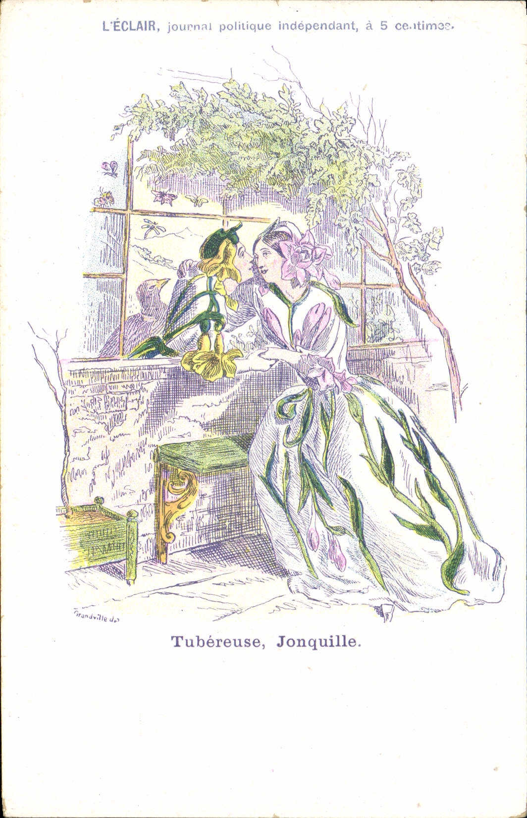VINTAGE POSTCARD Fantasy Tuberose Jonquil Flowers