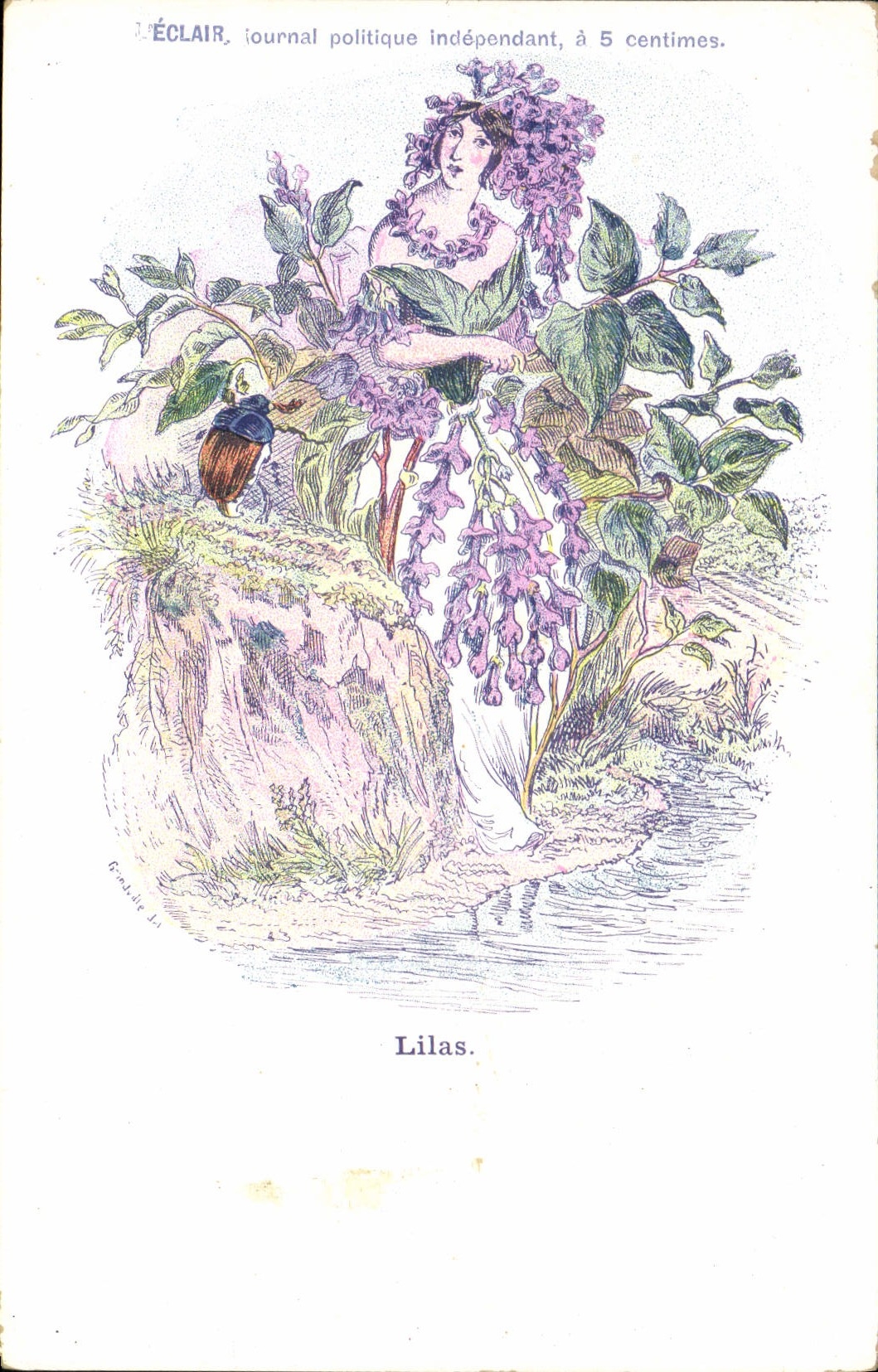 VINTAGE POSTCARD Fantasy Flowers Lilac