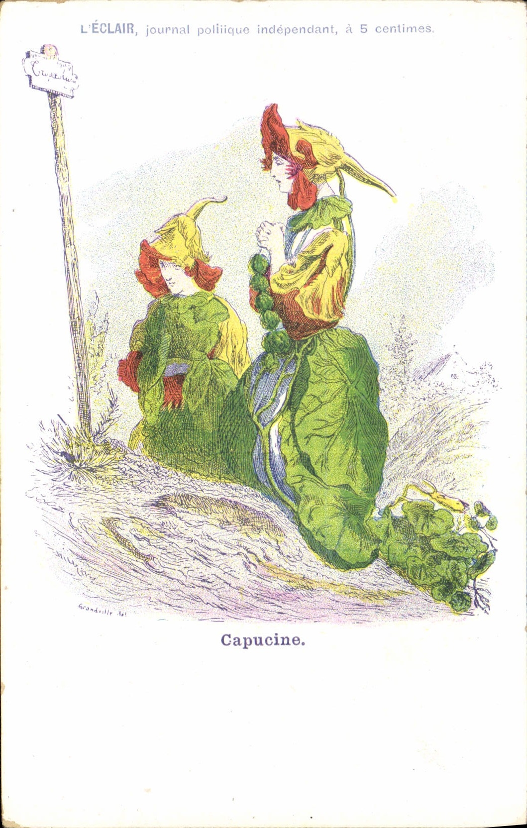 VINTAGE POSTCARD Fantasy Flowers Nasturtium