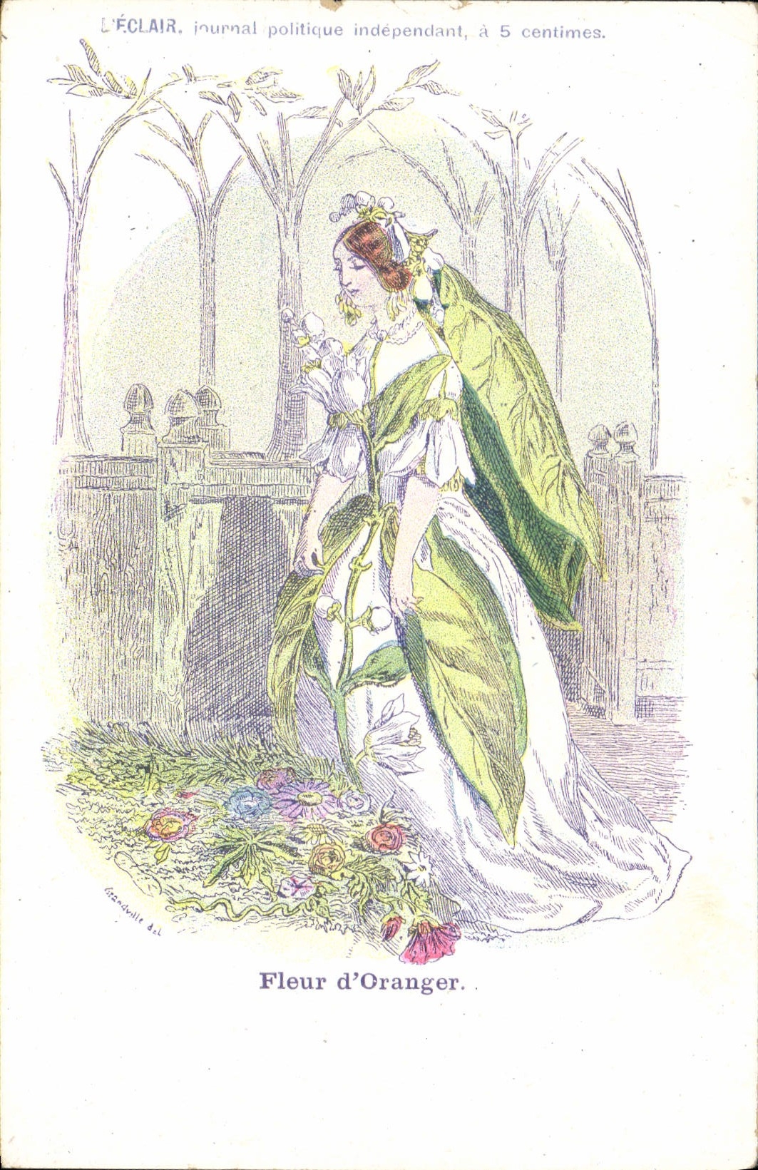 VINTAGE POSTCARD Fantasy Flowers Flower of Orange tree