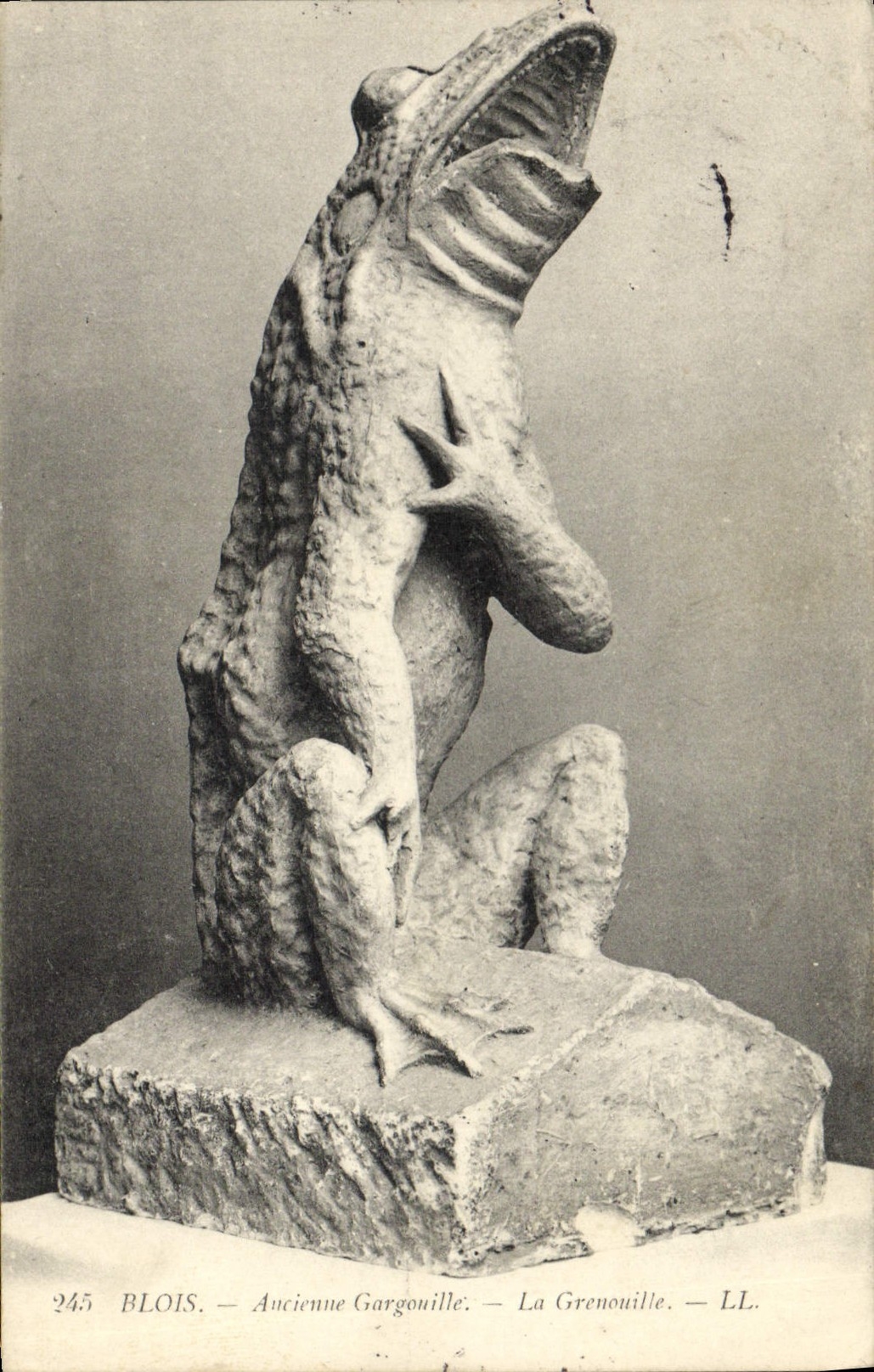 VINTAGE POSTCARD Blois Old waste-gas main the Frog Toad