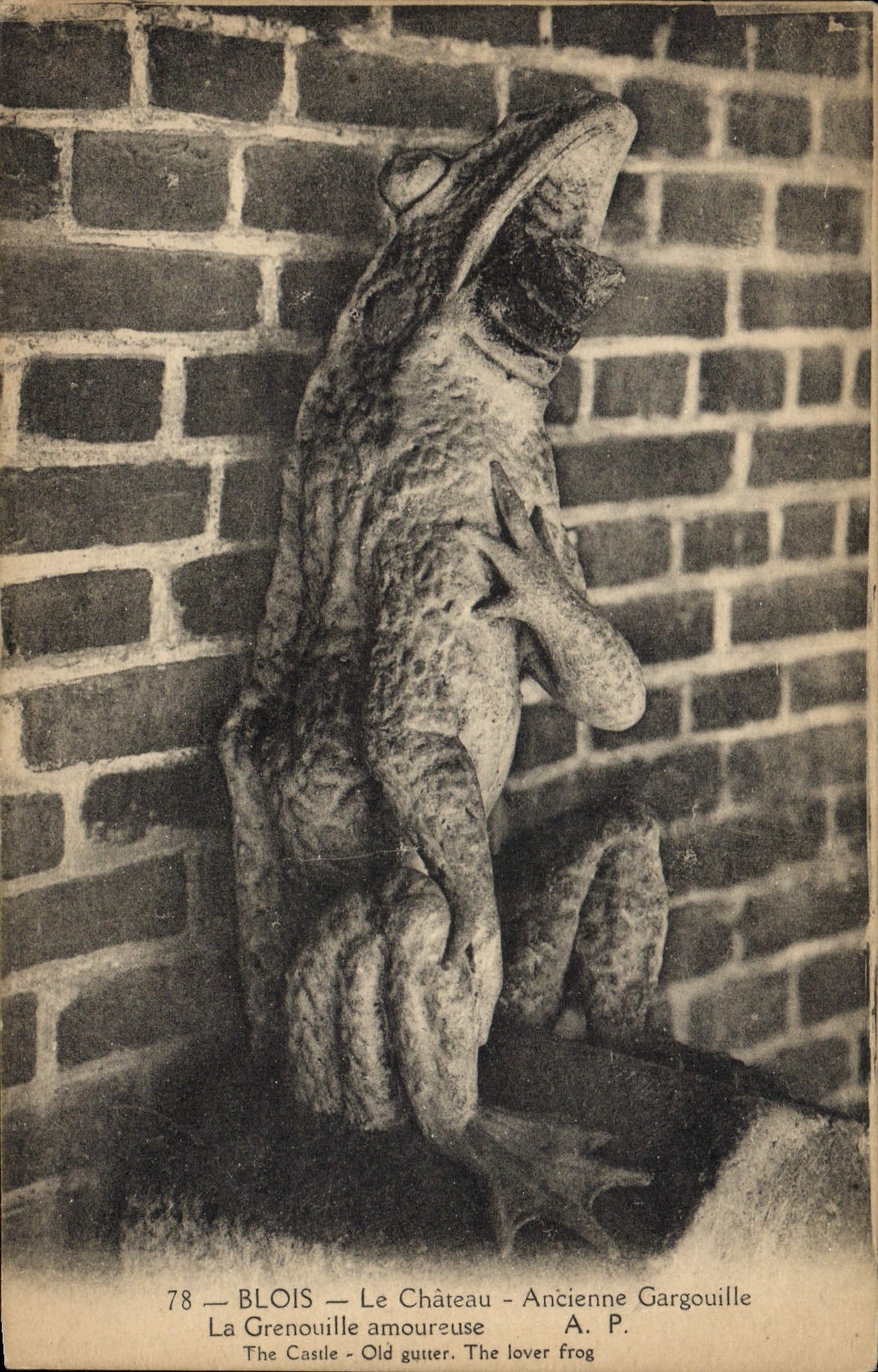 CPA Blois Ancienne gargouille La Grenouille Crapaud 