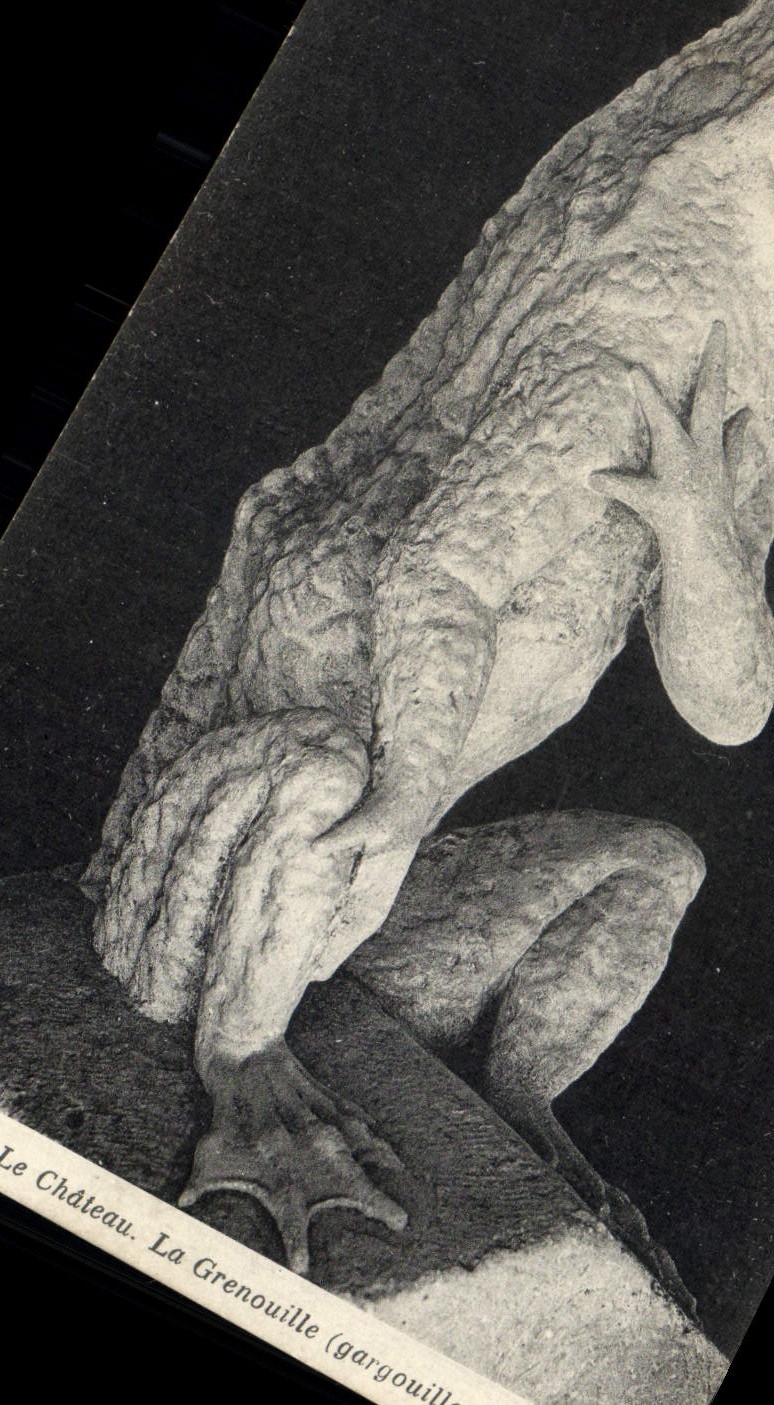 VINTAGE POSTCARD Frog Toad the Blois castle