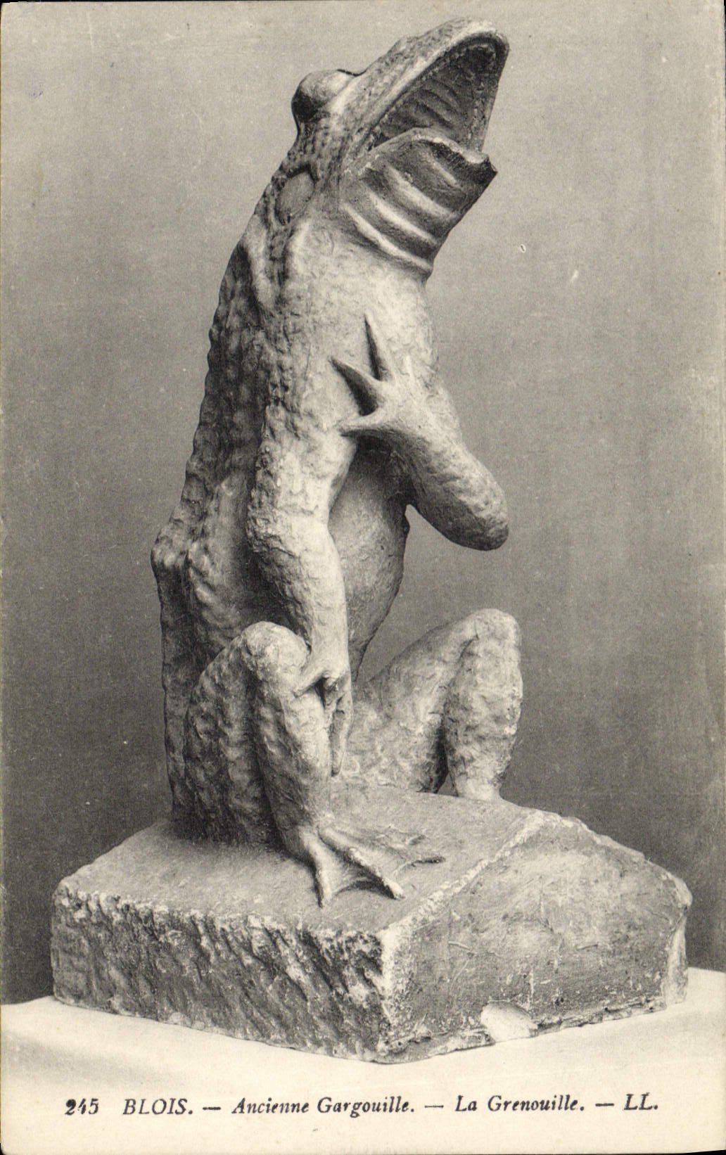 VINTAGE POSTCARD Frog Blois Toad Old waste-gas main