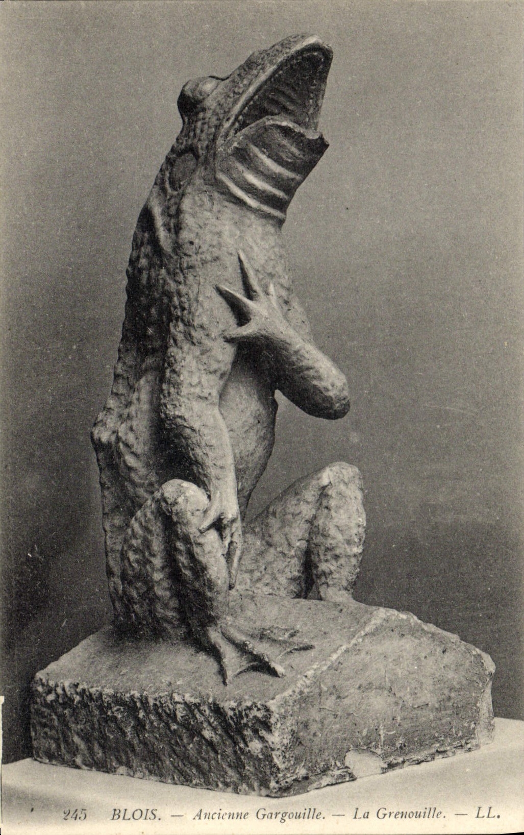 CPA Grenouille Crapaud Blois Ancienne gargouille