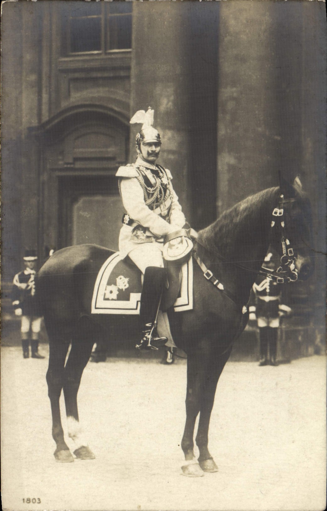 Real photo Sovereign Horse