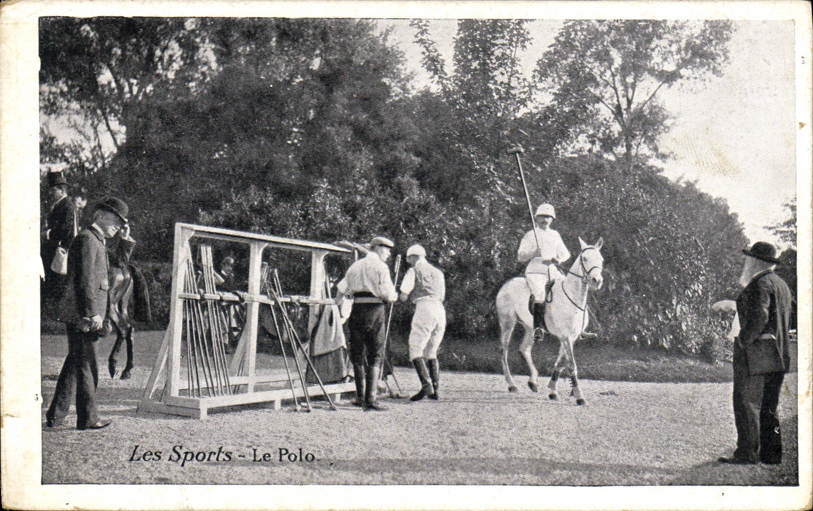 POSTAL de la VENDIMIA el caballo de la camisa de deportes