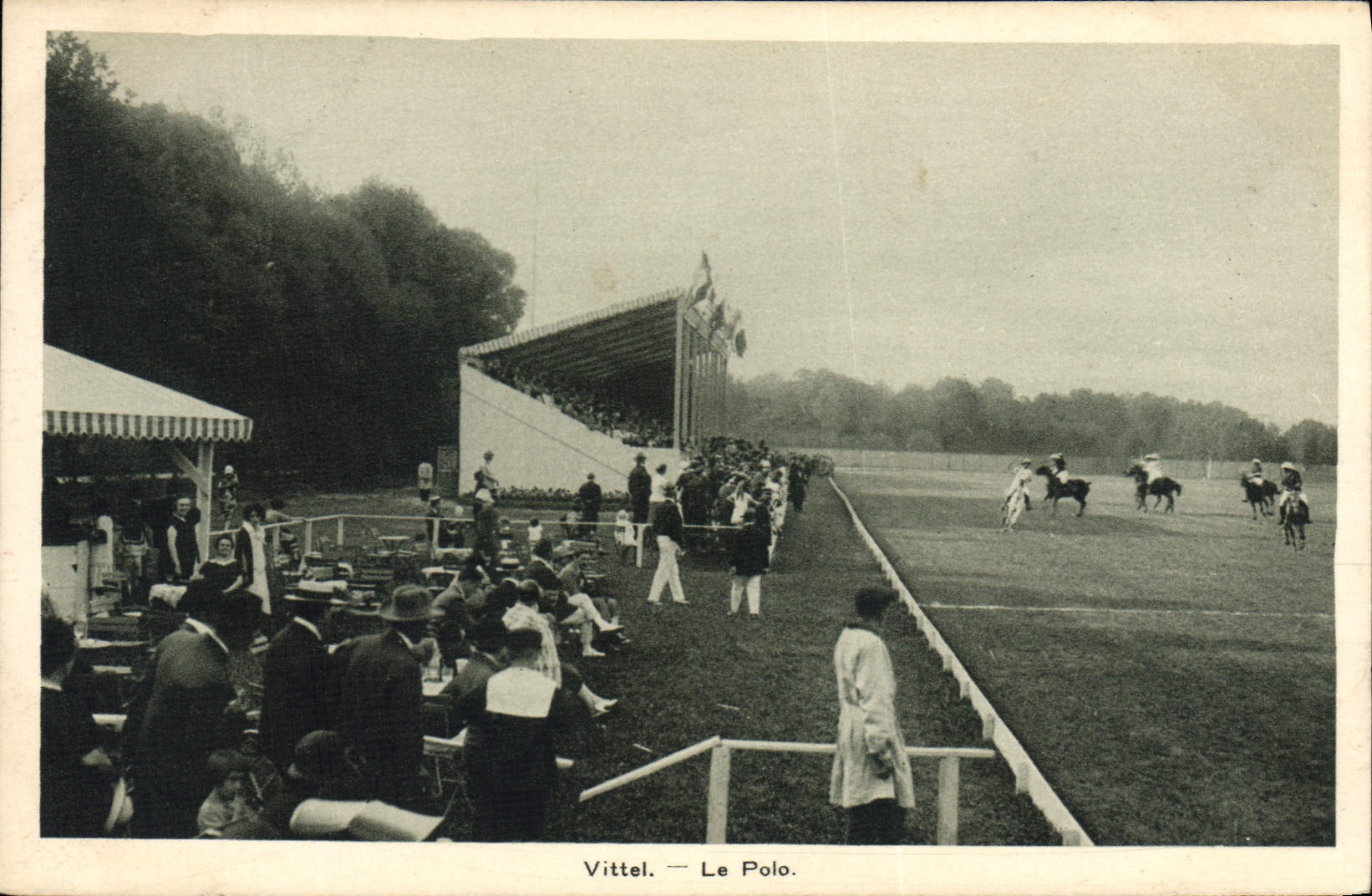 CPA Vittel le polo Cheval