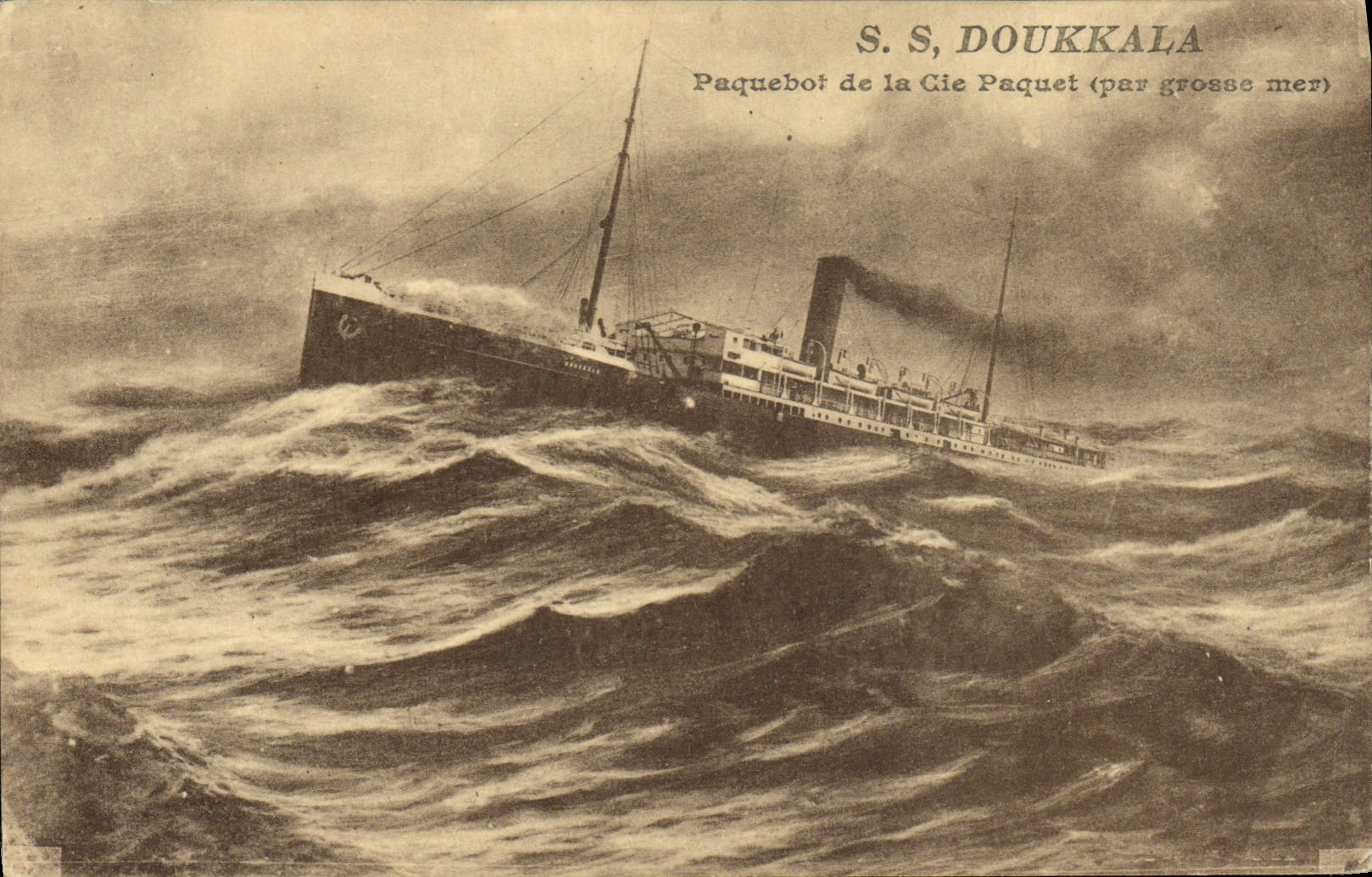 CPA SS Doukkala Paquebot de la Cie Paquet