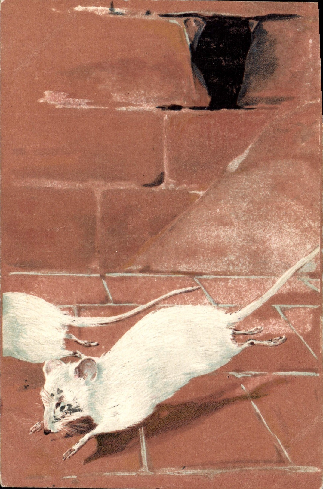 VINTAGE POSTCARD White mouse