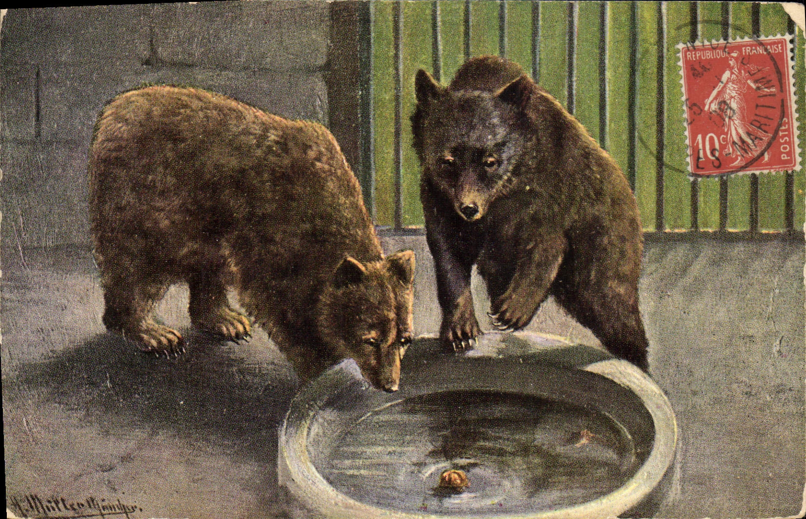 CPA Les ours bruns 