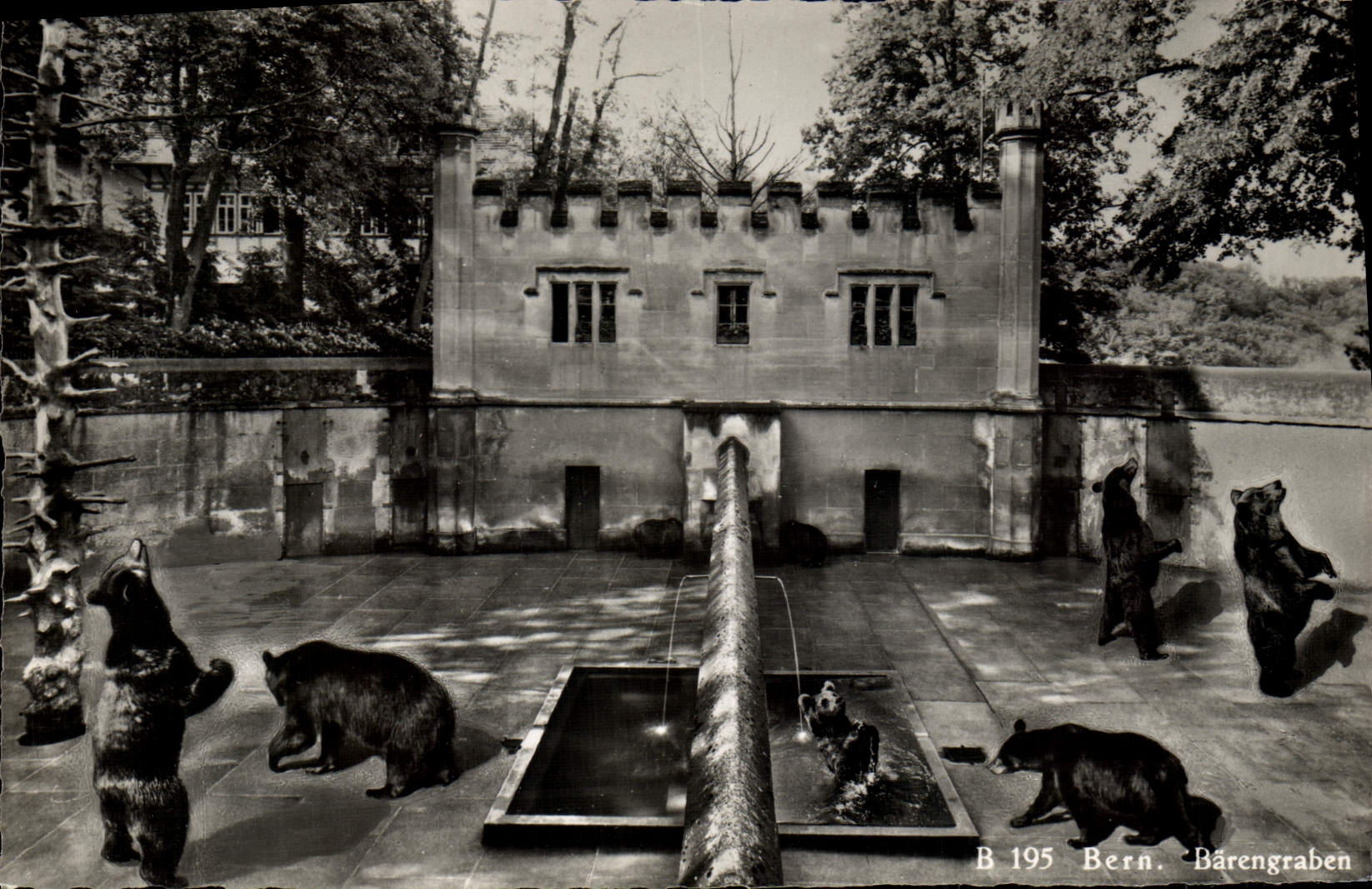 CPM Berne La fosse aux ours 