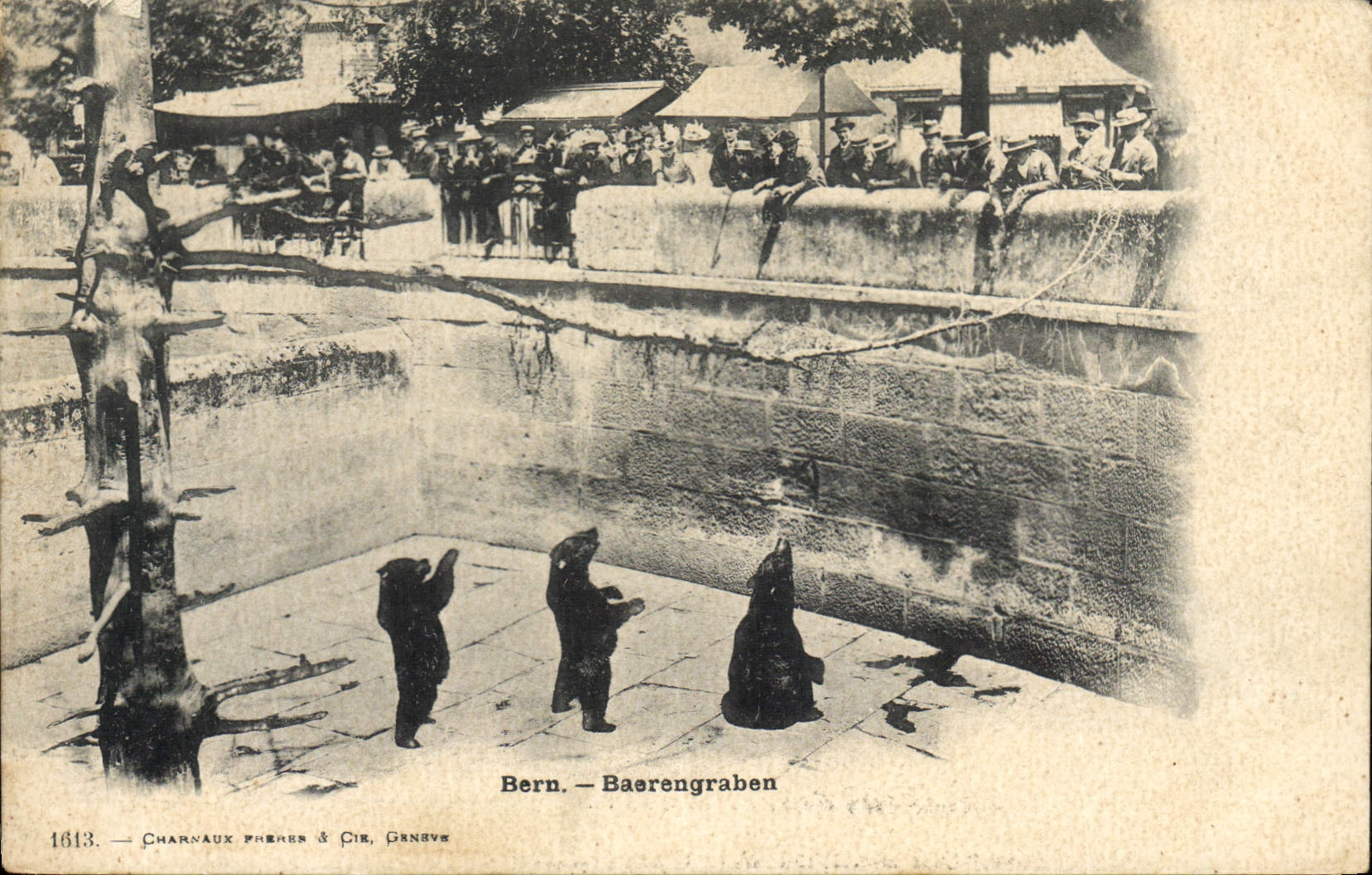 CPA Berne Baerengraben Ours 