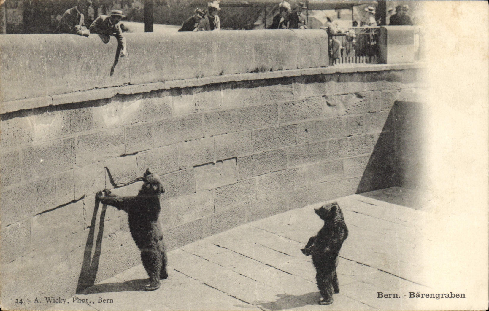 CPA Ours Bern 