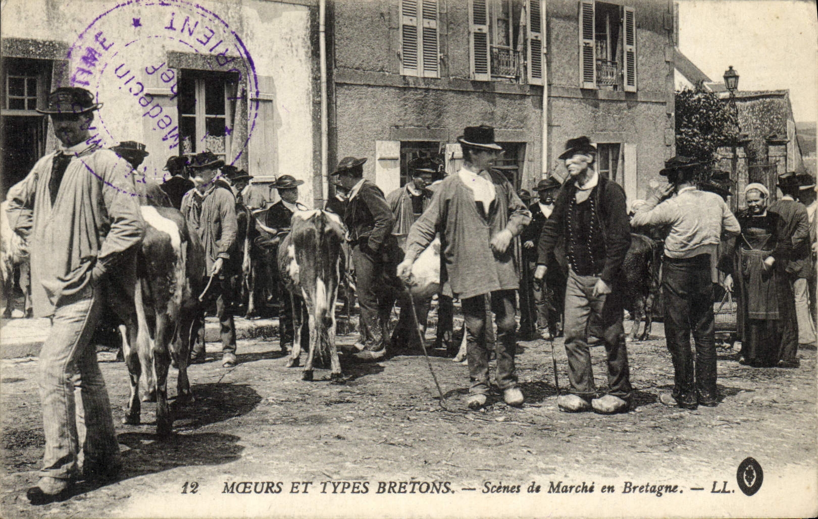 Escenas del folklore de la POSTAL de la VENDIMIA del mercado en la vaca de Bretaña