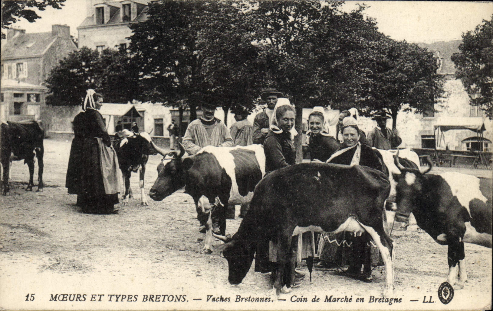 El bretón de Bretaña del folklore de la POSTAL de la VENDIMIA acobarda la esquina de las vacas del mercado