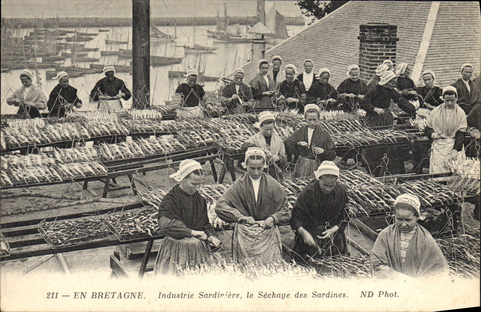 Sardiniere bretón de la industria de Bretaña del folklore de la POSTAL de la VENDIMIA la sequedad de sardinas