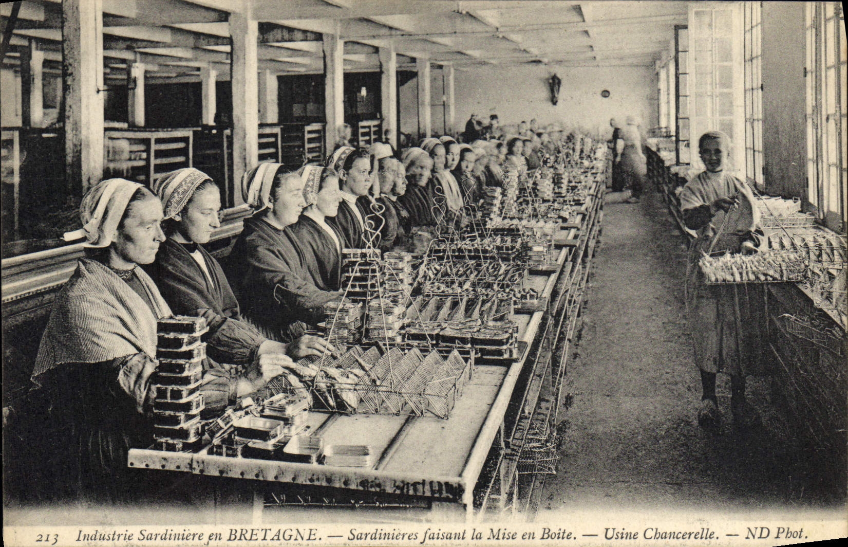 El sardiniere Sardinieres bretón de Bretaña Industrie que hace el ajuste cojea sobre él TAPA de Usine Chancerelle