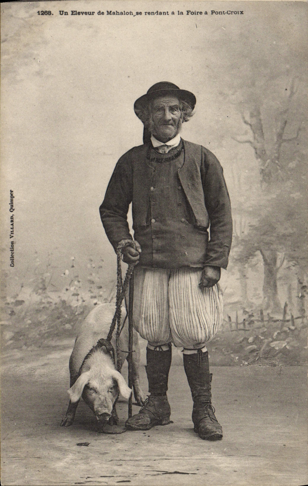 VINTAGE POSTCARD Folklore a stockbreeder of Mahalon going to the fair has ontCroix Cochon Pig