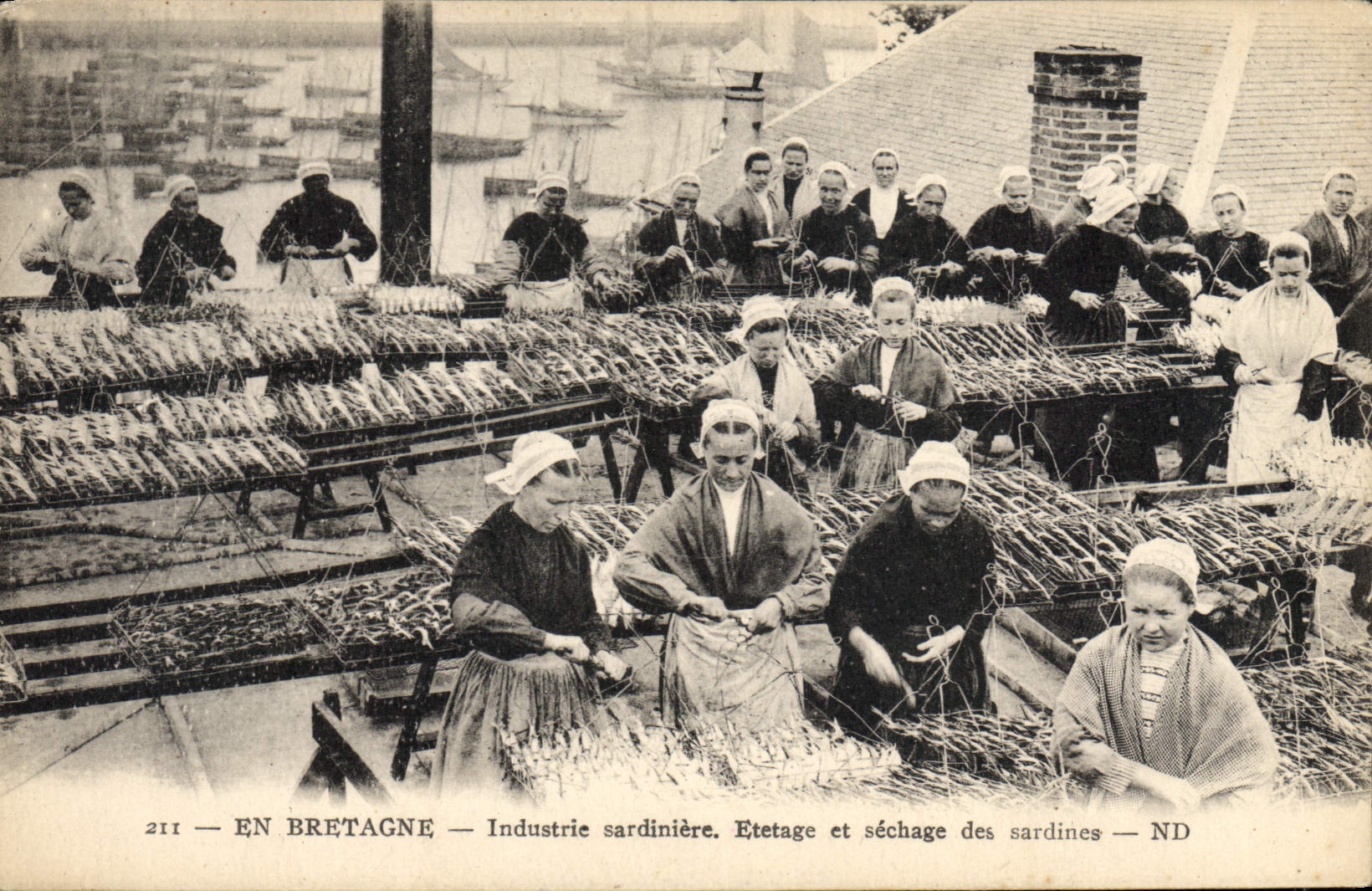 Sardiniere Etetage de la industria del folklore de la POSTAL de la VENDIMIA y sequedad de sardinas