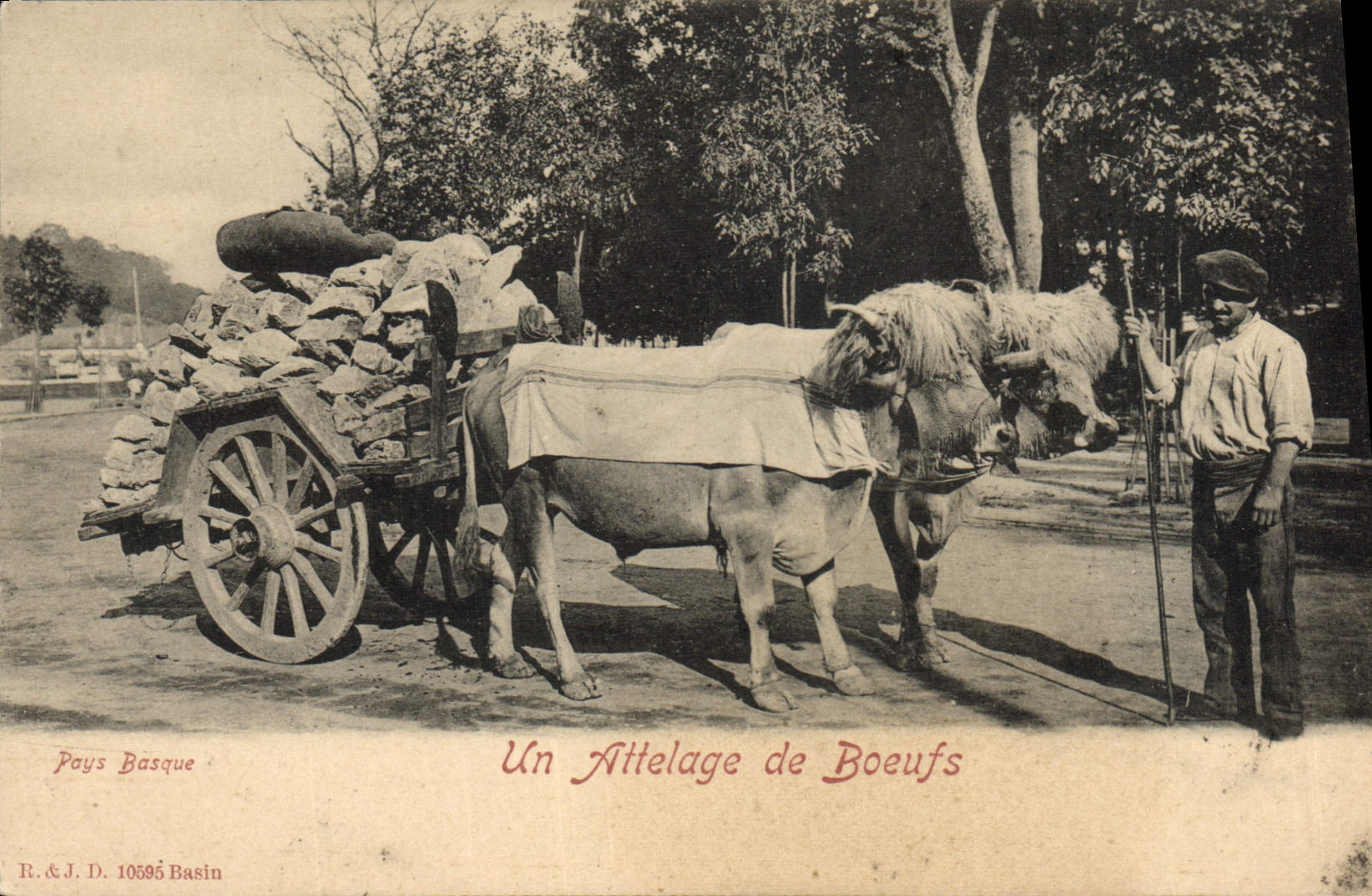 CPA Attelage de boeufs 