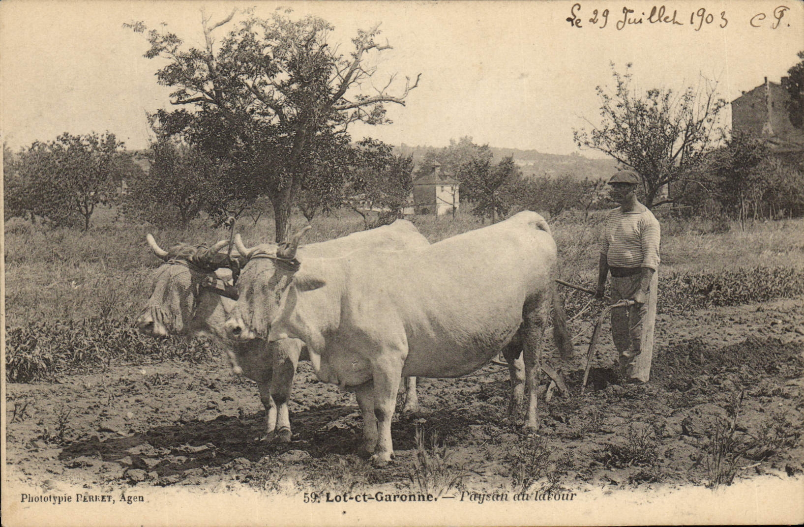 CPA Attelage Lot et Garonne Paysan du labour
