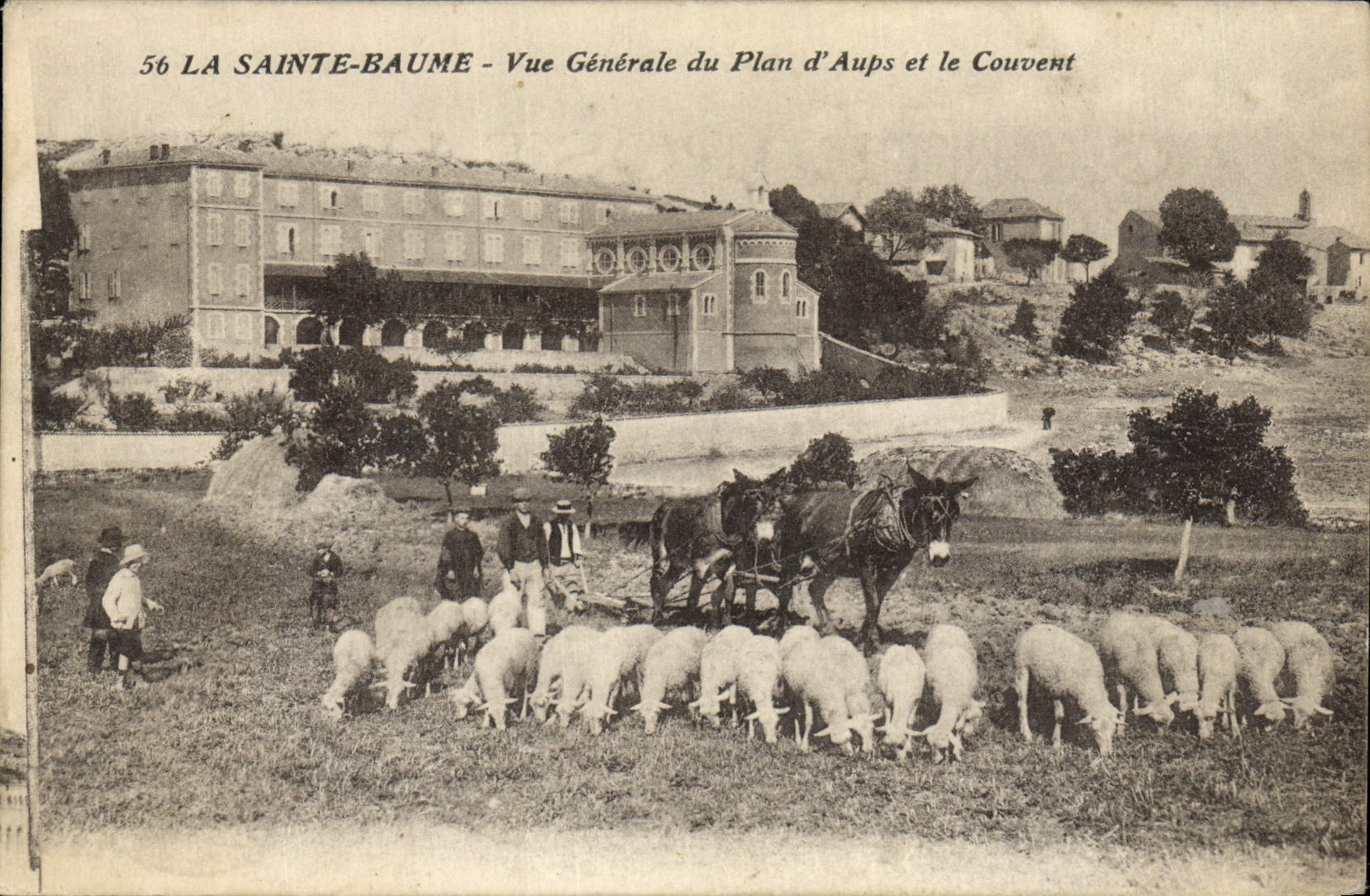 CPA Attelage La Sainte Baume Vue generale du plan d'Aups et le couvent Cheval moutons