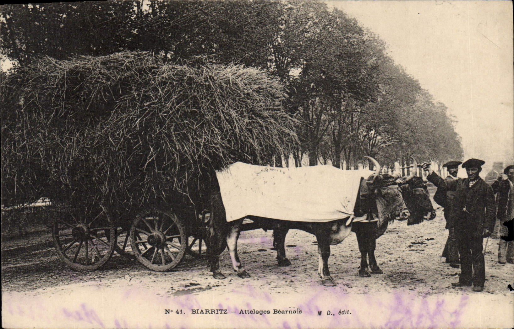 CPA Attelage Bearnais Biarritz