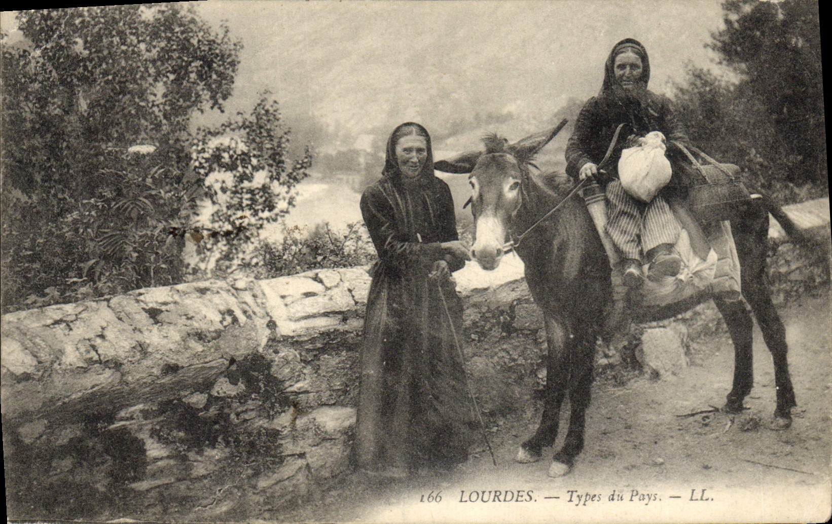 Tipos pesados de la POSTAL de la VENDIMIA de la mula del asno del país