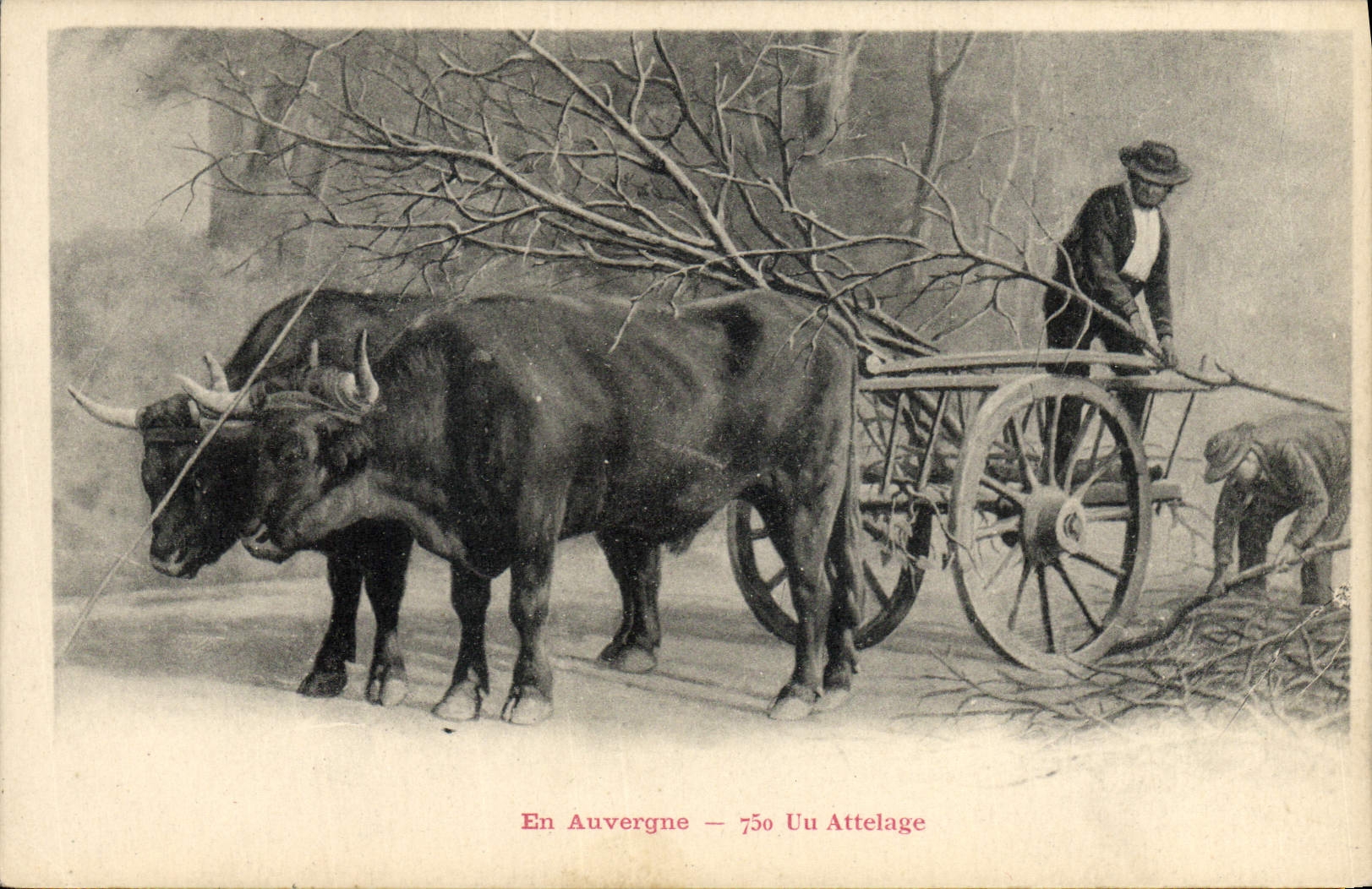 CPA Attelage Auvergne 