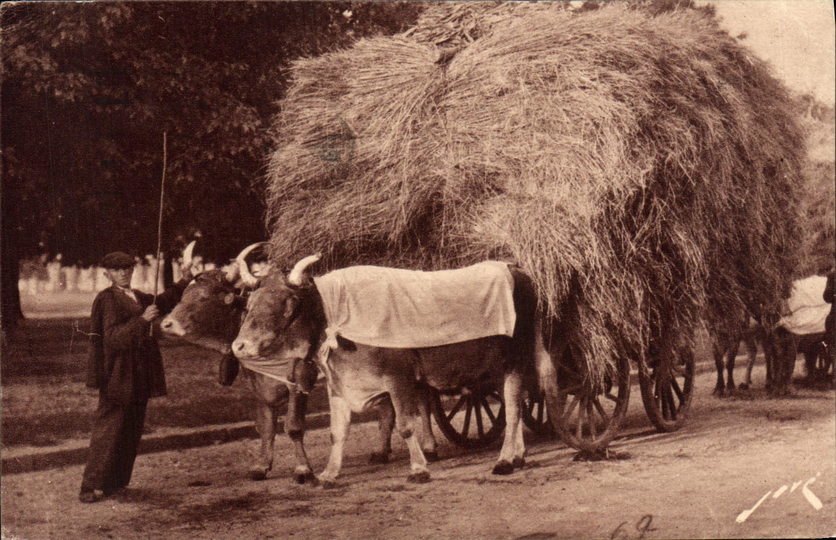 CPA Attelage paysan Boeufs